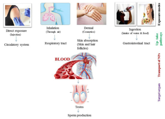 Ijerph 18 01758 g002 550