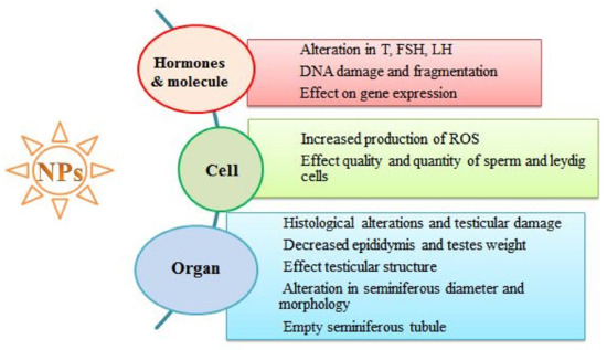 Ijerph 18 01758 g003 550