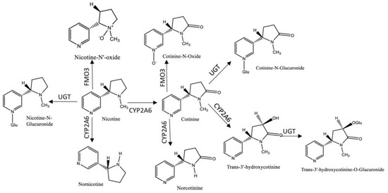 Ijerph 18 01768 g001 550