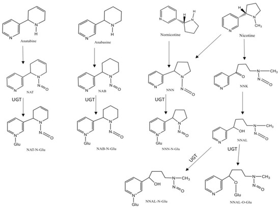 Ijerph 18 01768 g002 550