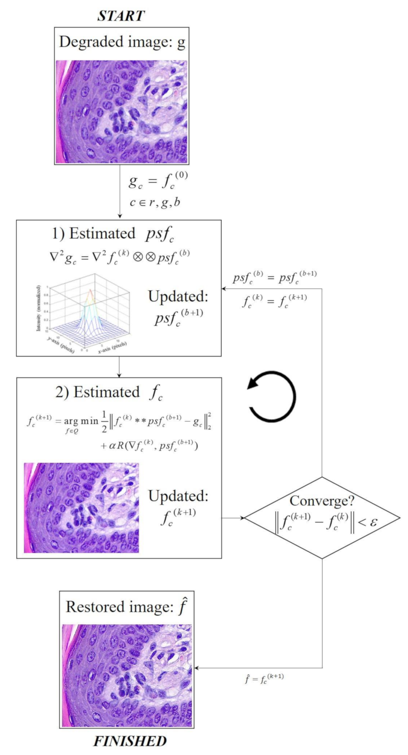 Ijerph 18 01789 g001