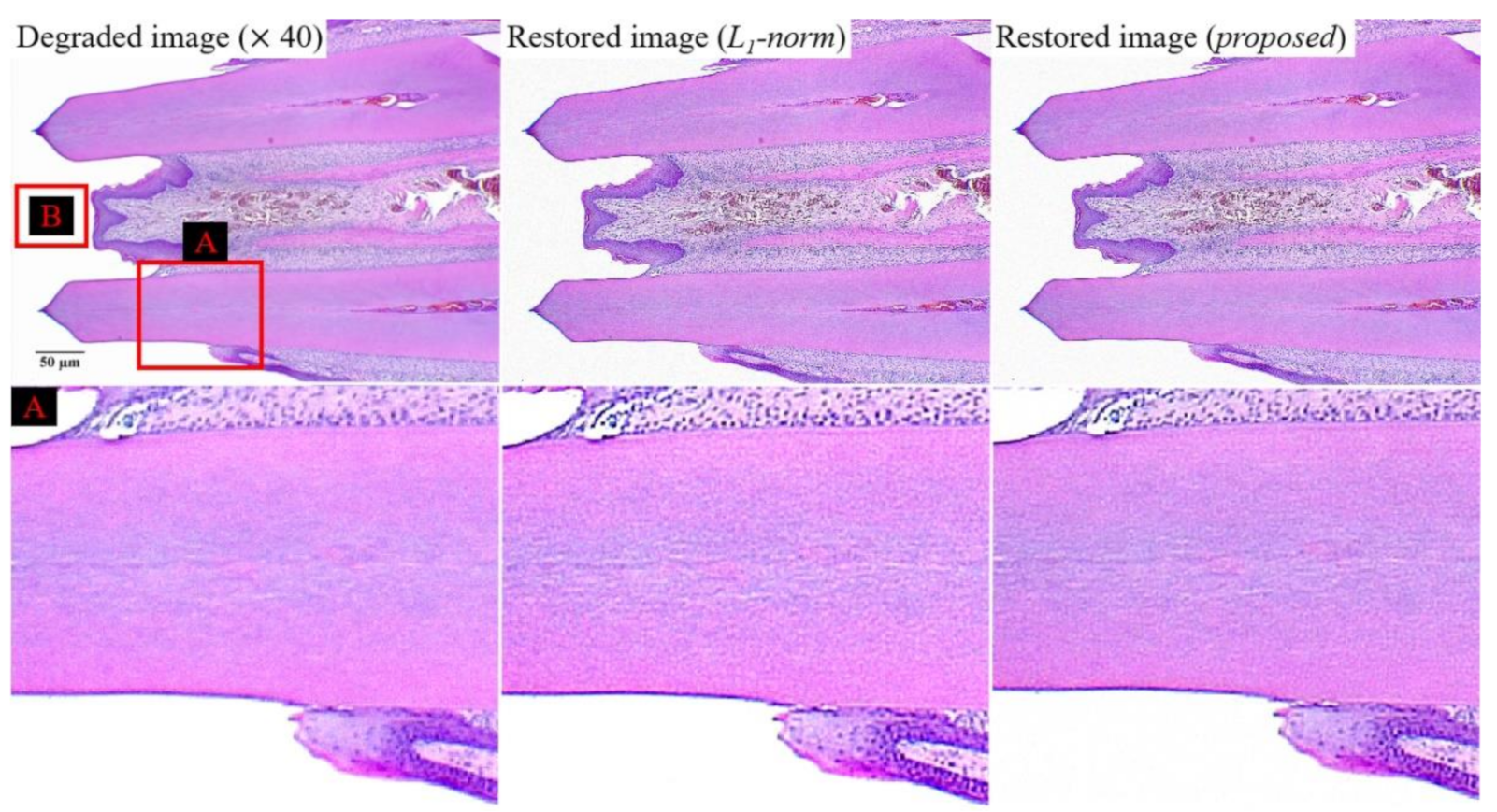 Ijerph 18 01789 g009