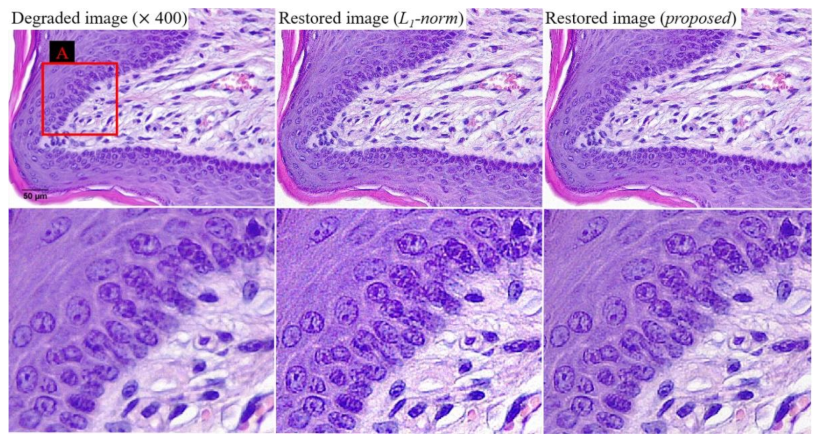 Ijerph 18 01789 g010