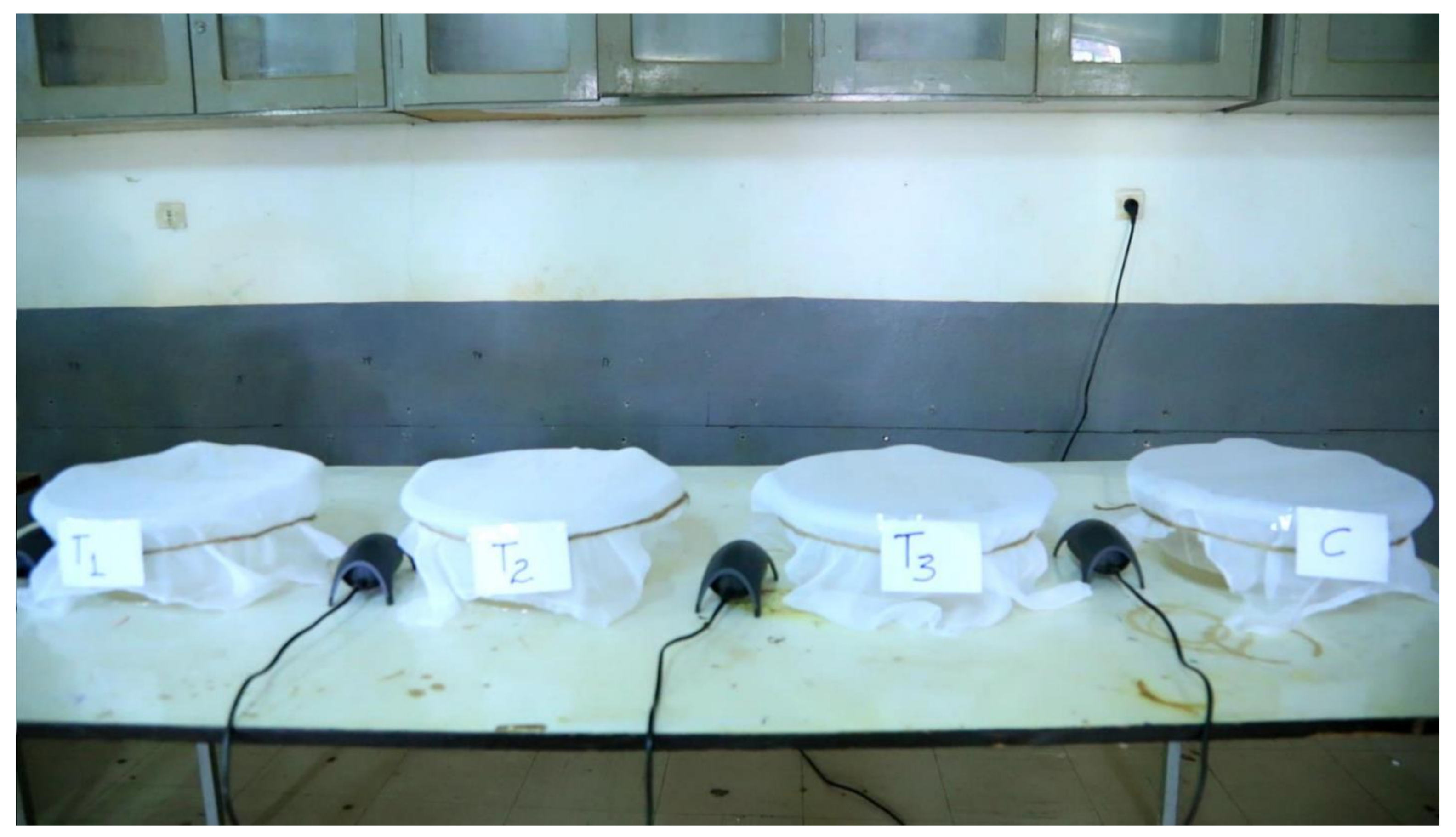 Ijerph 18 01810 g001