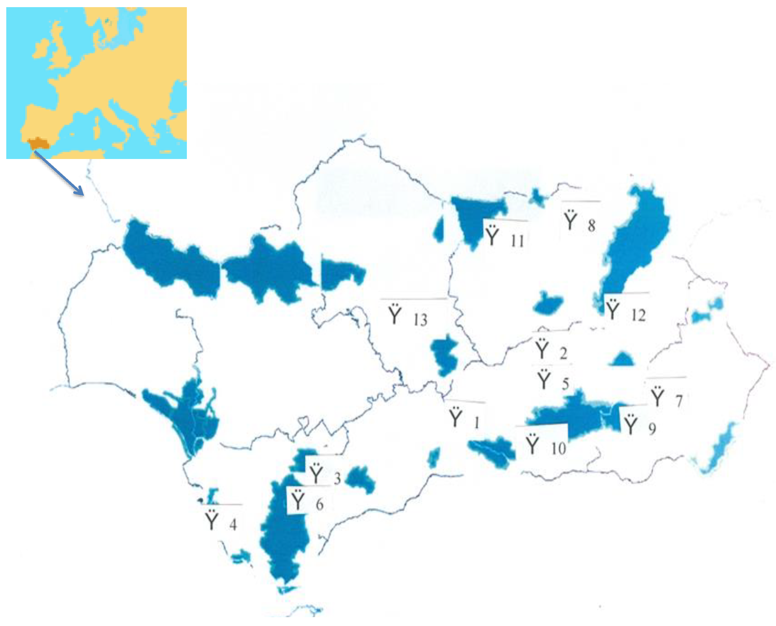 File:Mapa municipal de España y Portugal.png - Wikimedia Commons