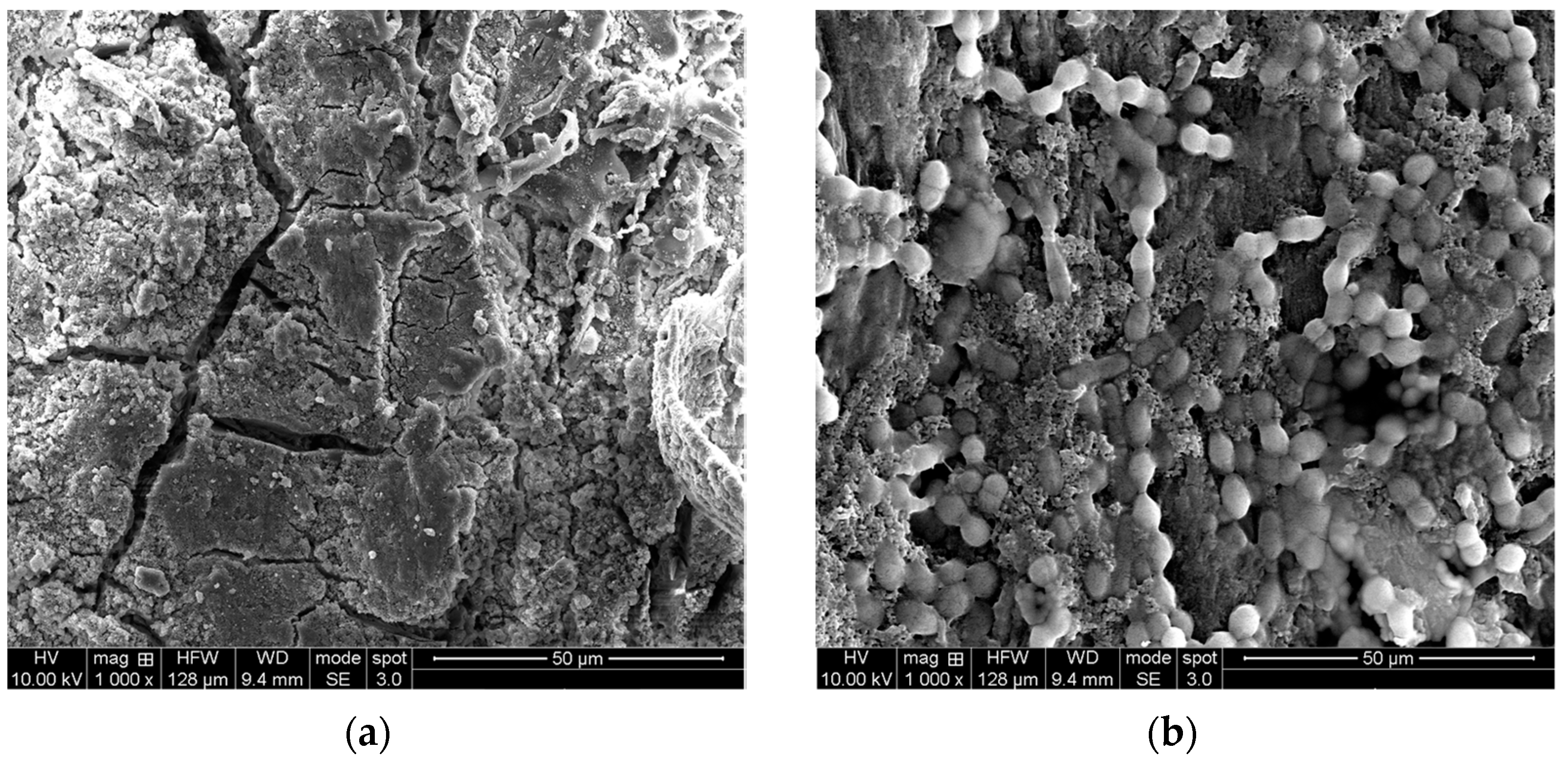 Ijerph 18 01834 g003