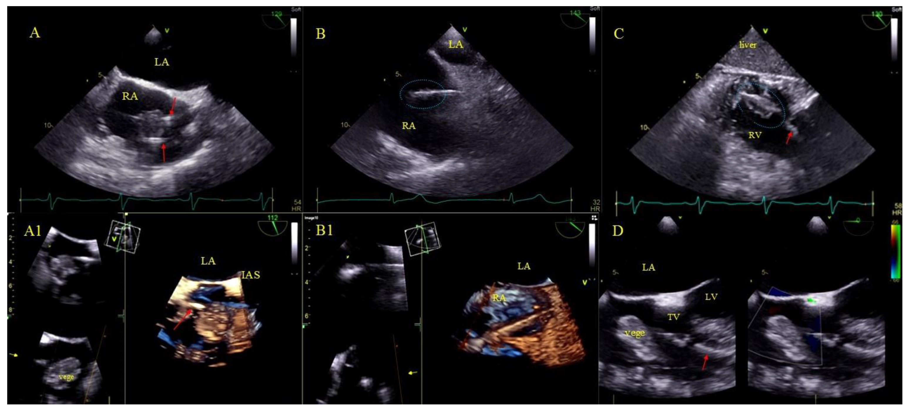 Ijerph 18 01862 g002 Ijerph 18 01862 g002