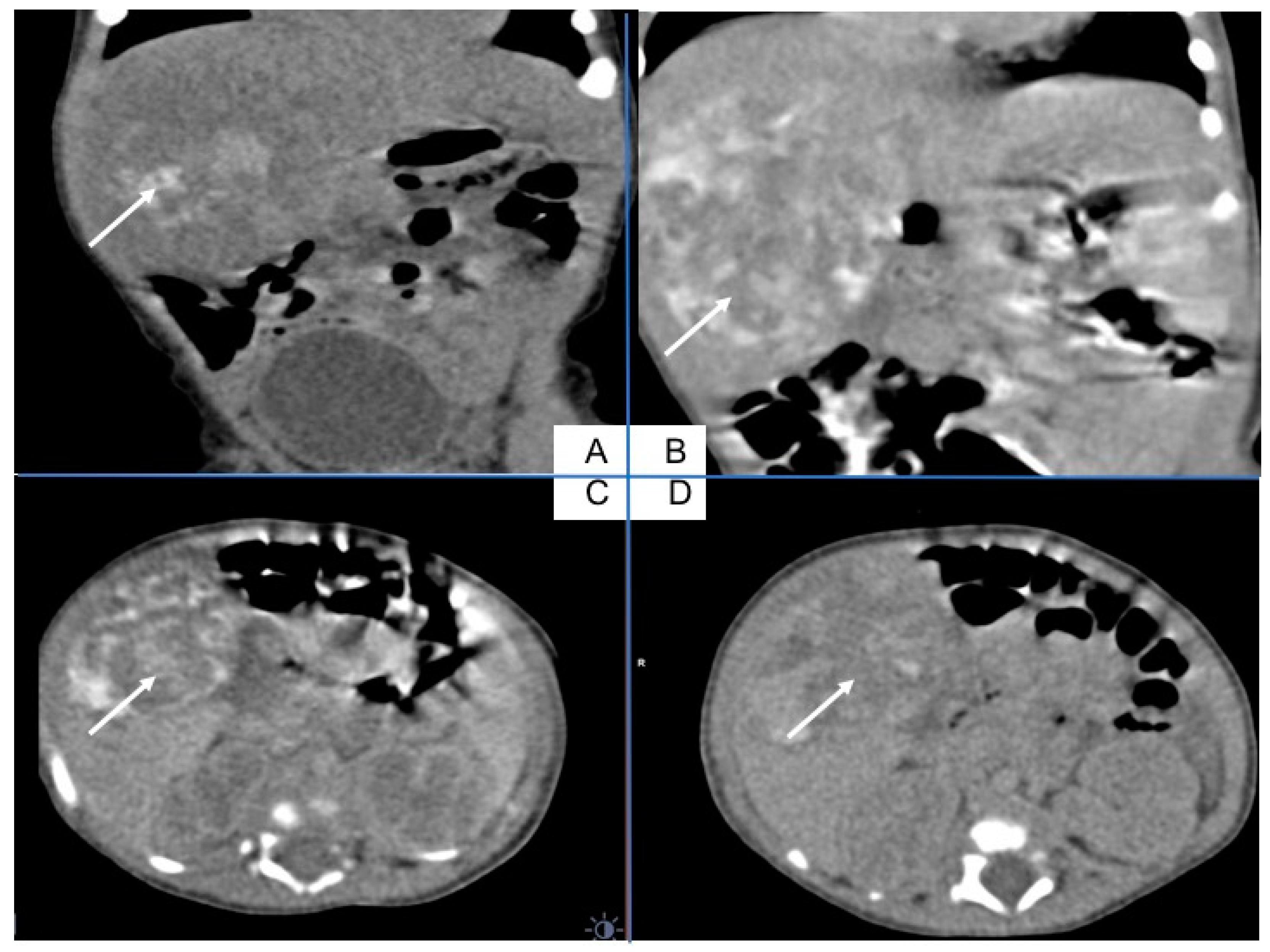 Ijerph 18 01934 g002