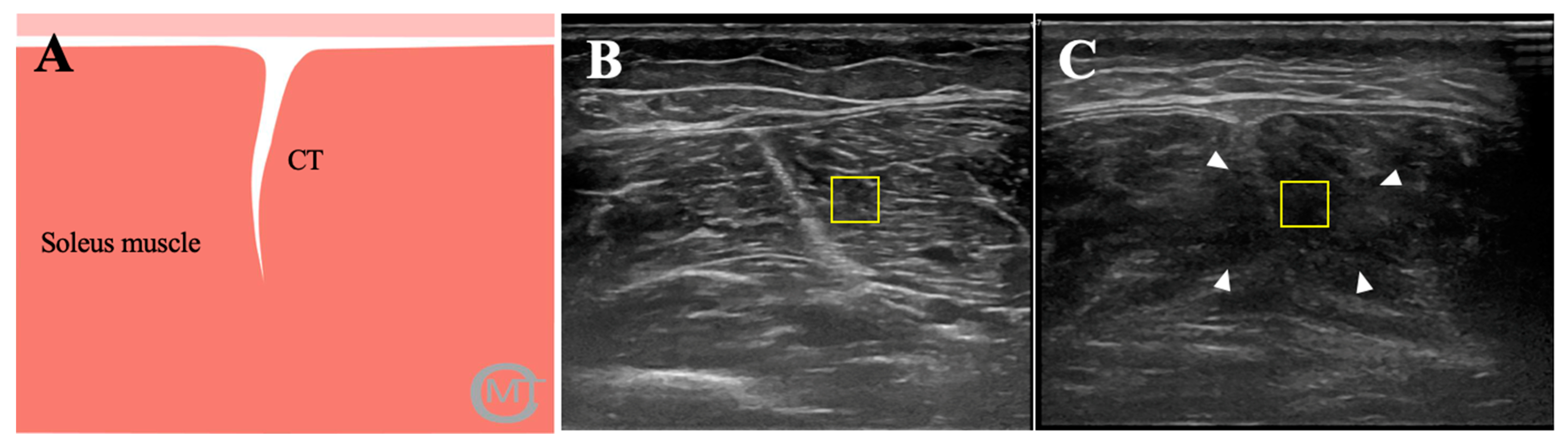 Ijerph 18 01983 g001