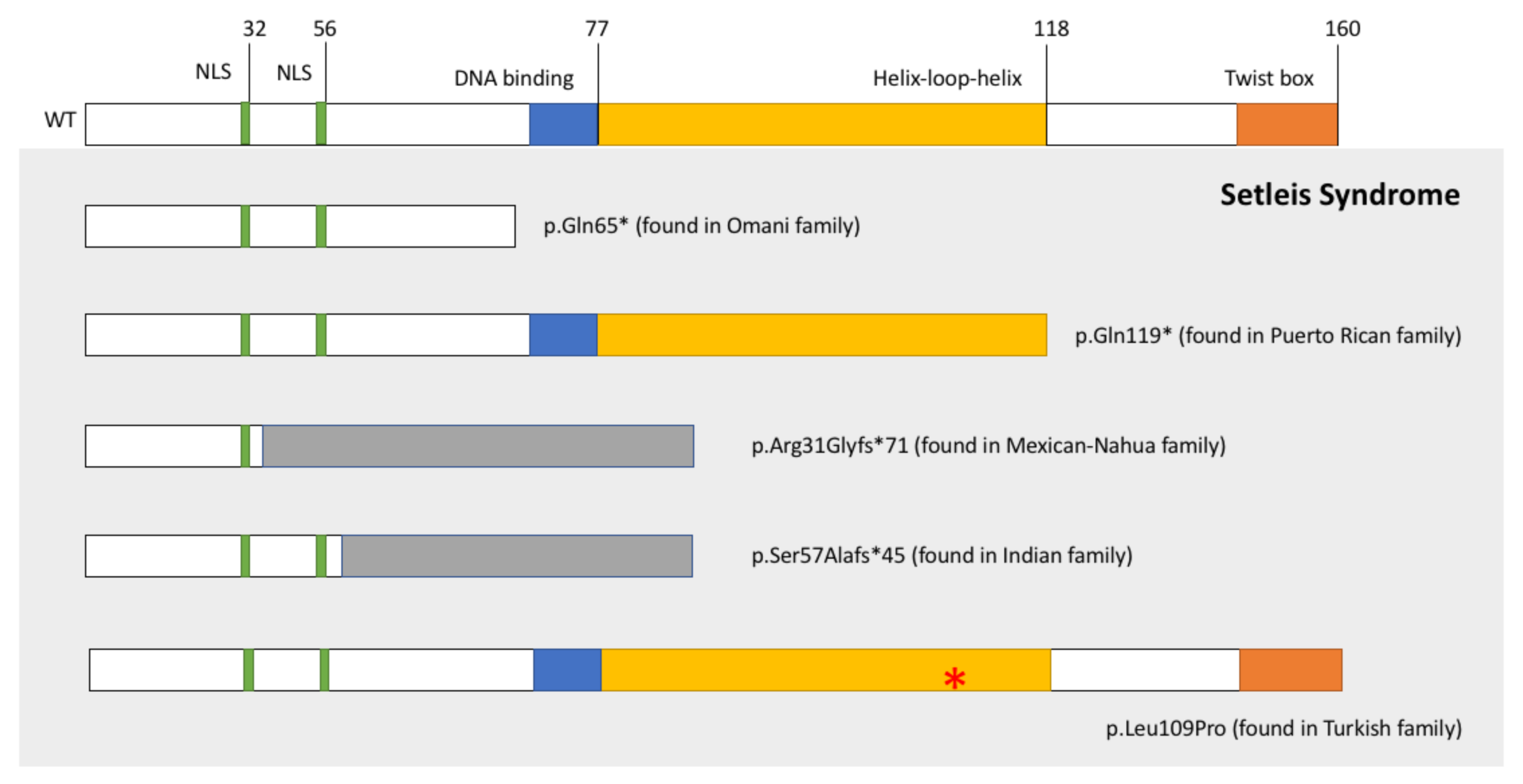 Ijerph 18 01997 g001 Ijerph 18 01997 g001