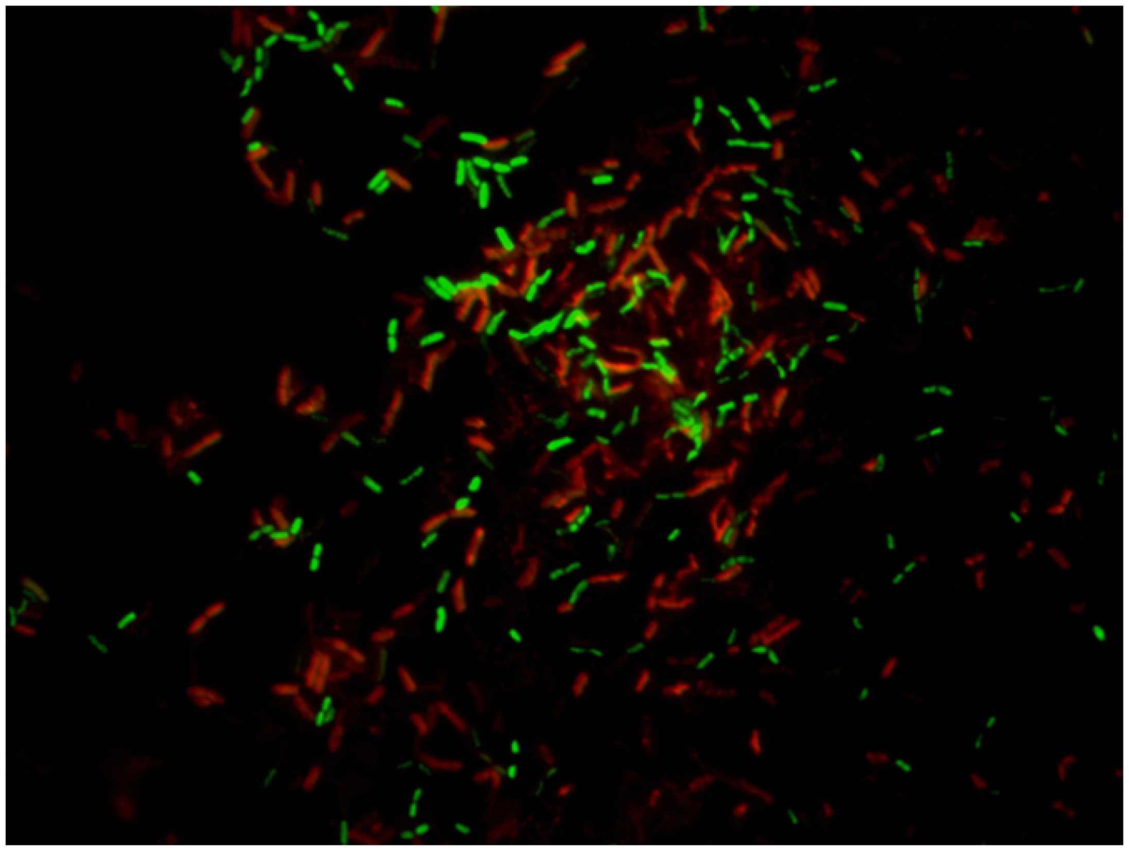 Ijerph 18 02014 g003 Ijerph 18 02014 g003