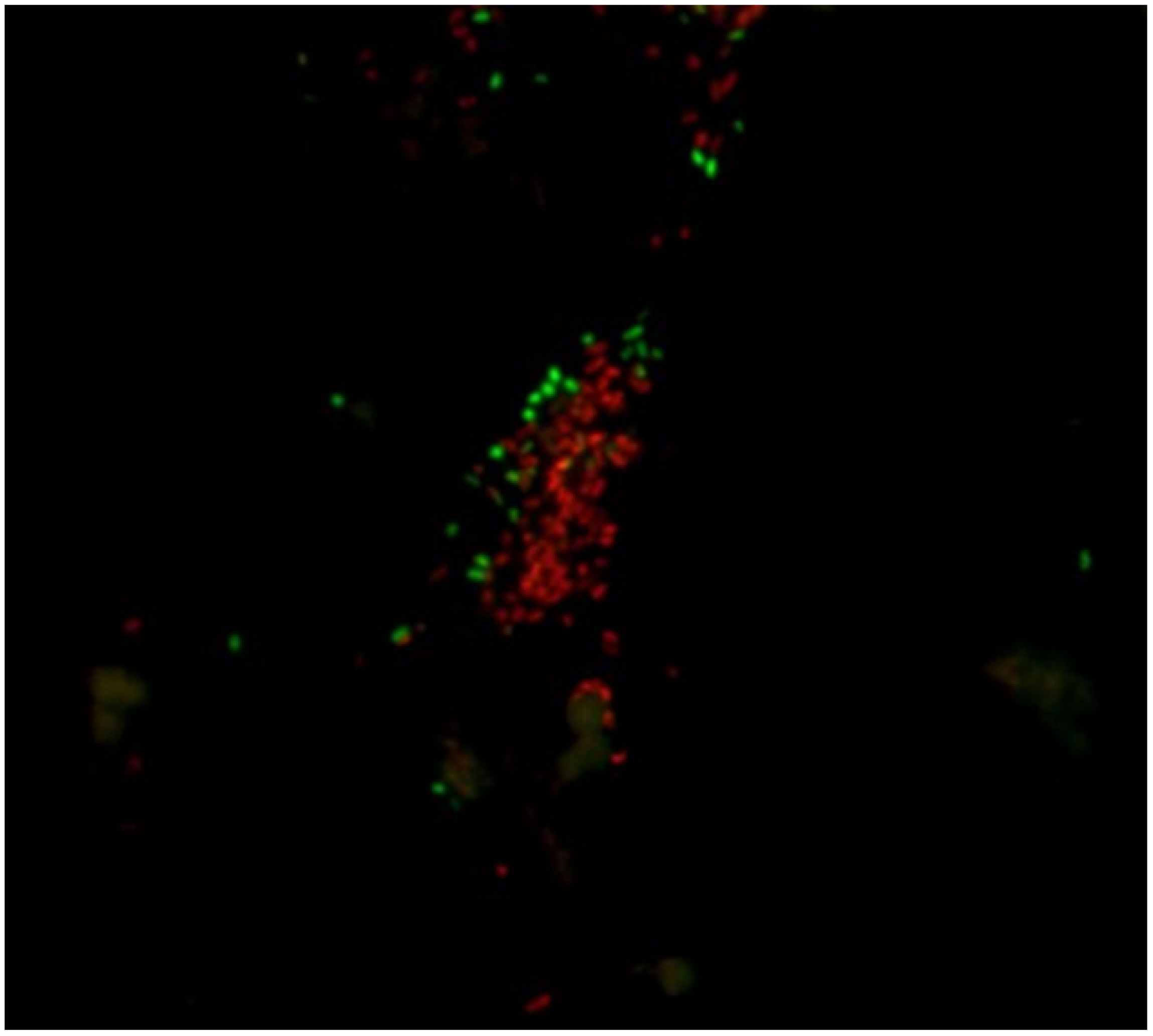 Ijerph 18 02014 g004 Ijerph 18 02014 g004