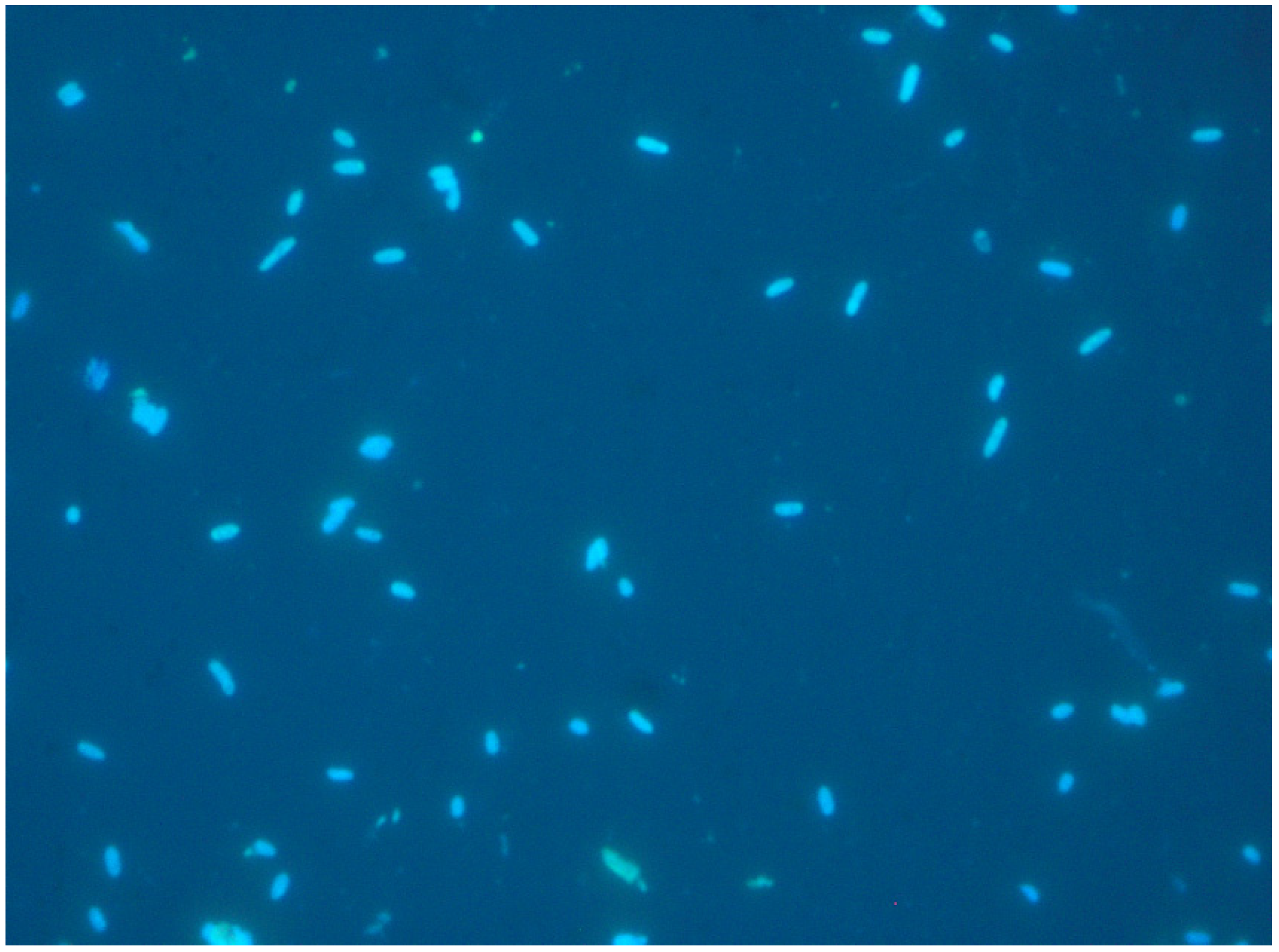 Ijerph 18 02014 g006 Ijerph 18 02014 g006