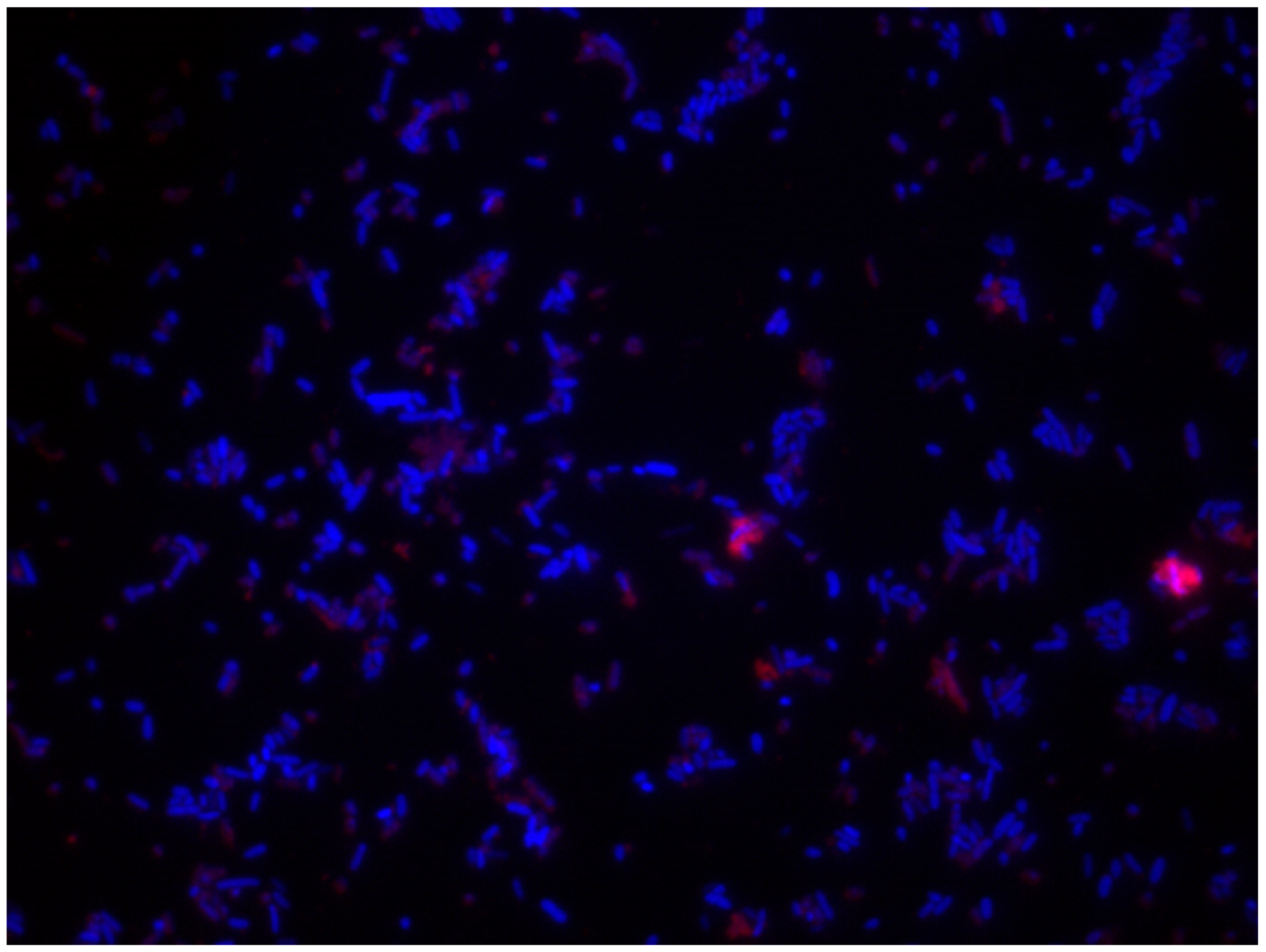 Ijerph 18 02014 g007 Ijerph 18 02014 g007