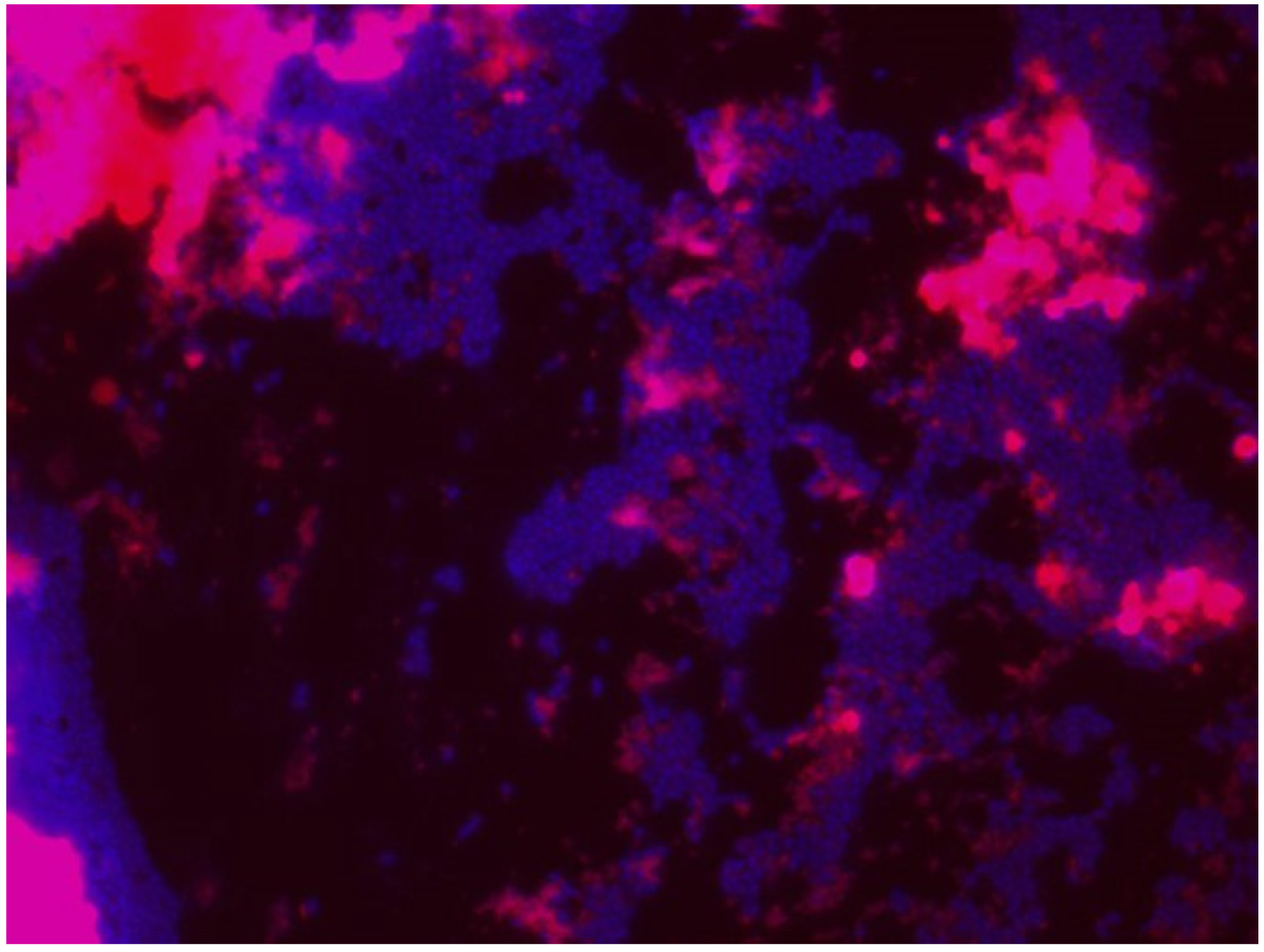 Ijerph 18 02014 g008 Ijerph 18 02014 g008