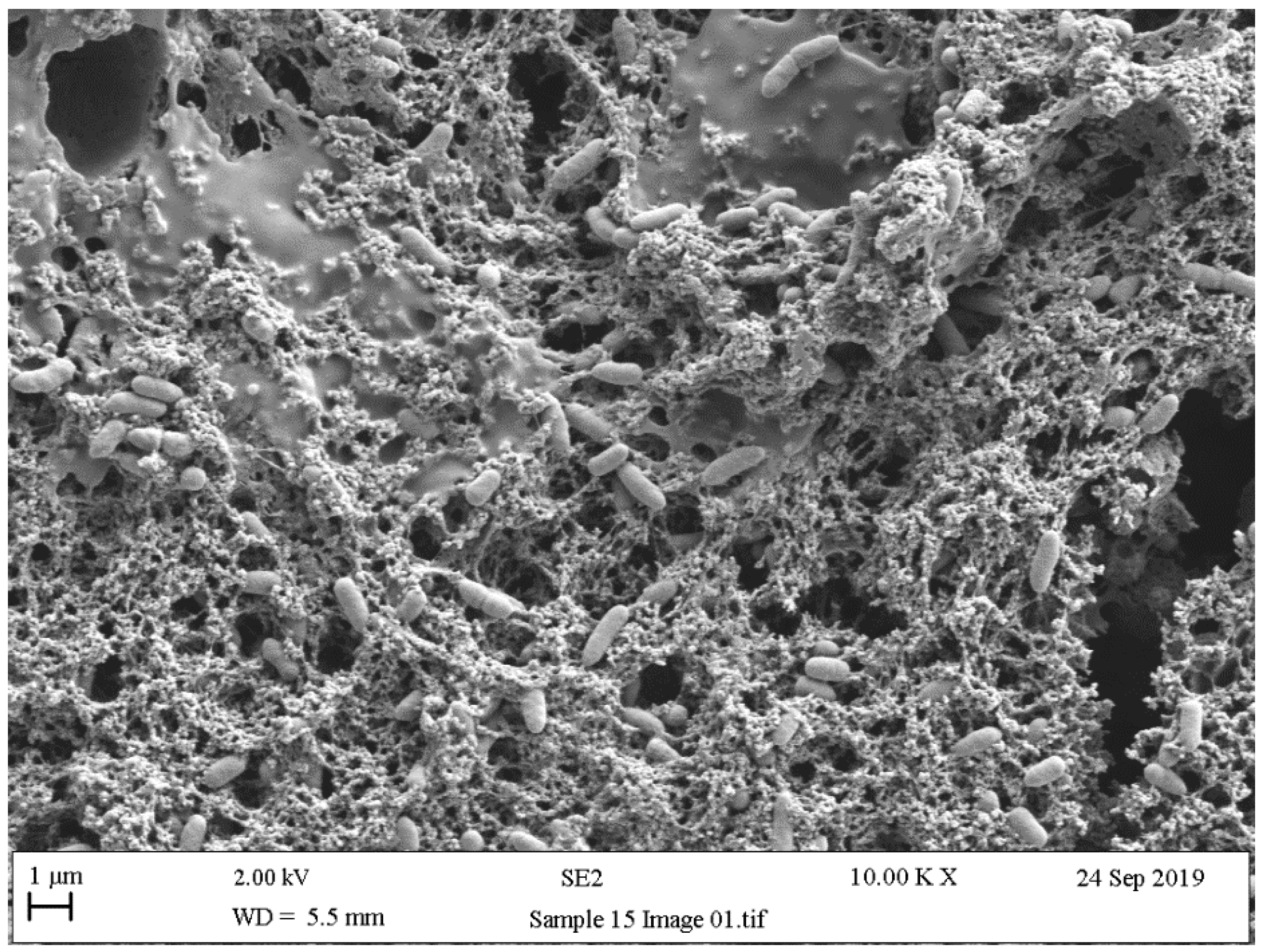 Ijerph 18 02014 g009 Ijerph 18 02014 g009