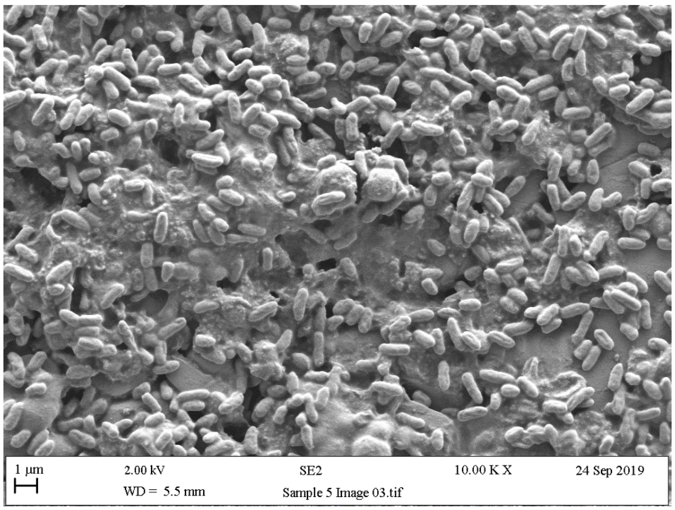 Ijerph 18 02014 g010 Ijerph 18 02014 g010