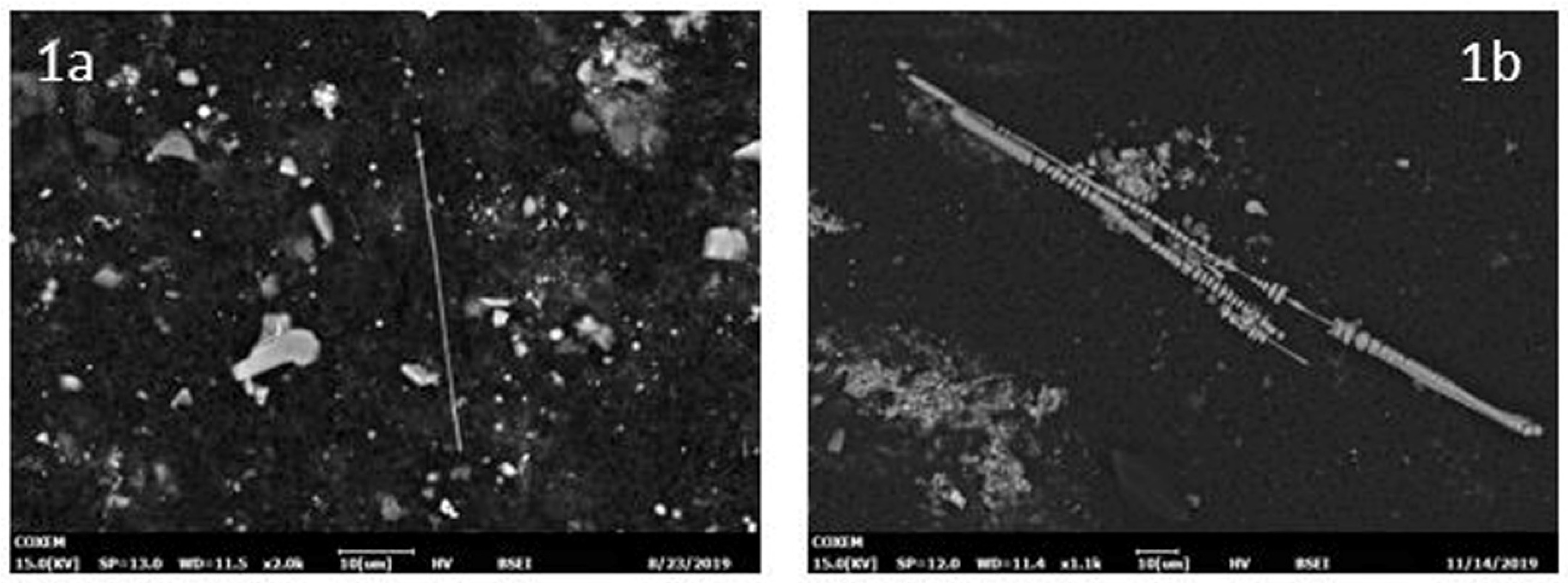 Ijerph 18 02053 g001 Ijerph 18 02053 g001