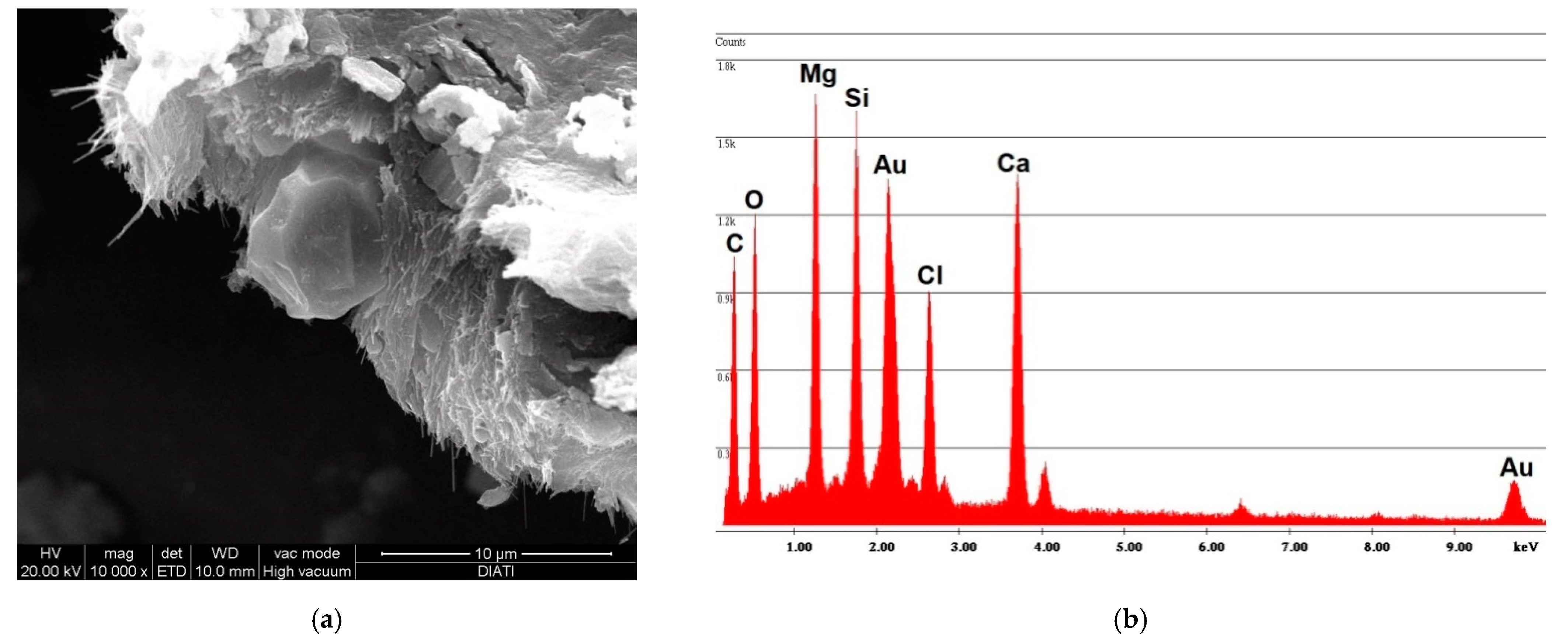 Ijerph 18 02073 g004