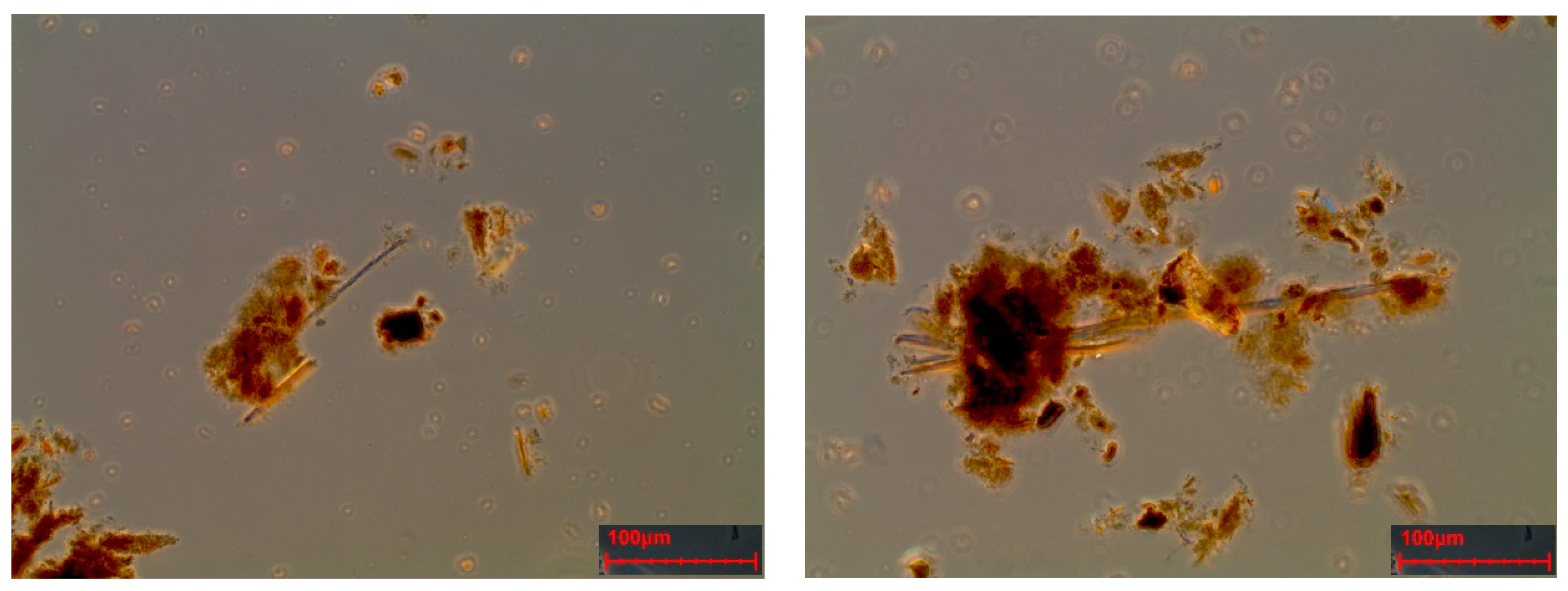 Ijerph 18 02073 g012