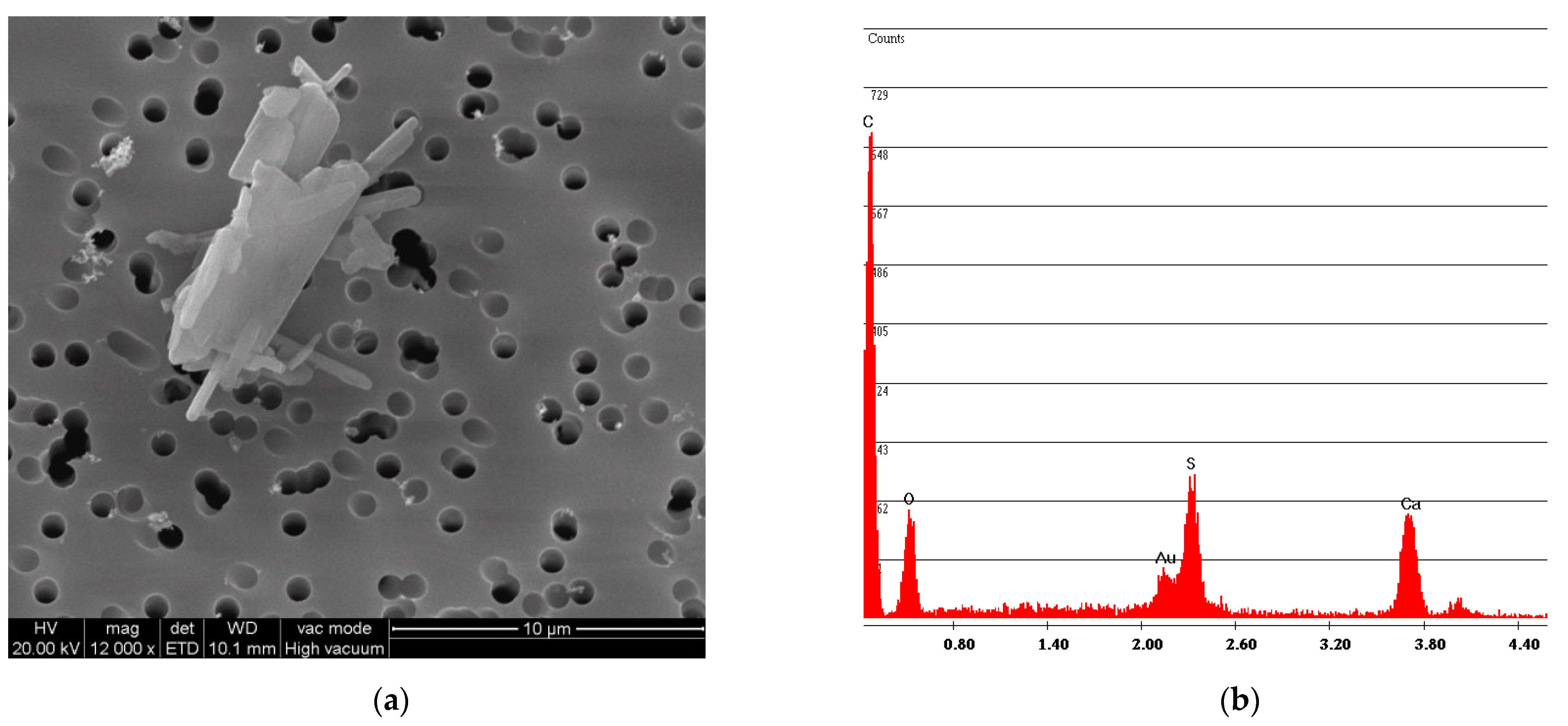 Ijerph 18 02073 g016