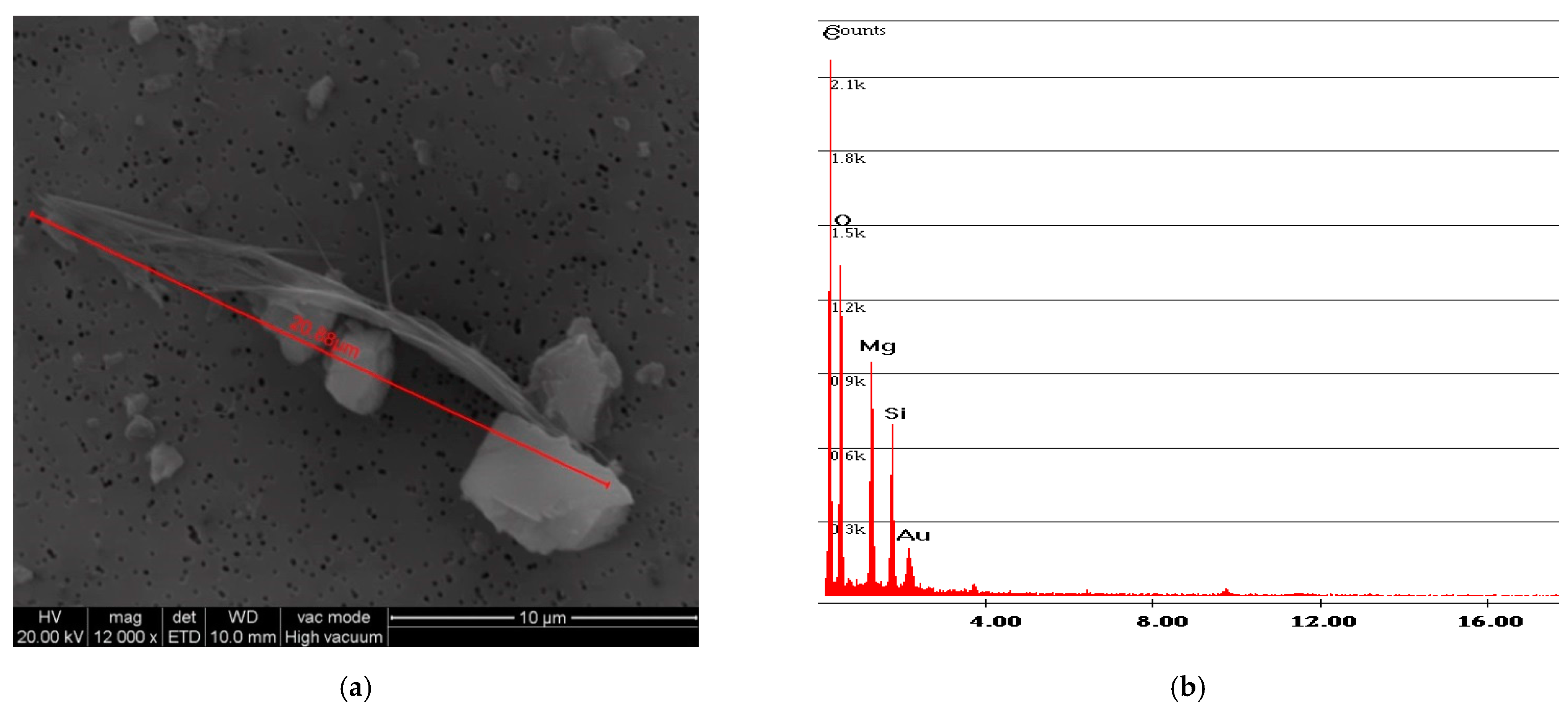 Ijerph 18 02073 g019