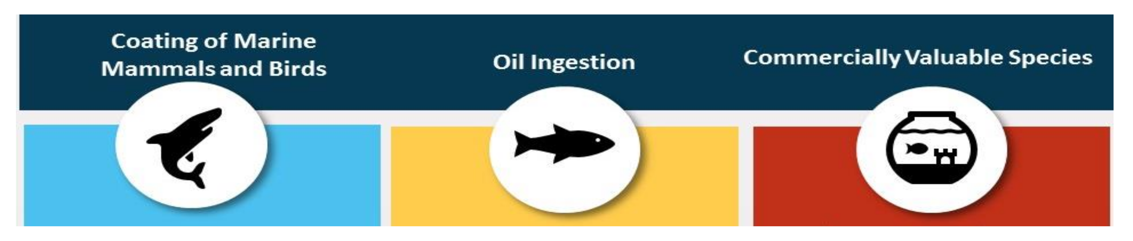 Ijerph 18 02226 g004