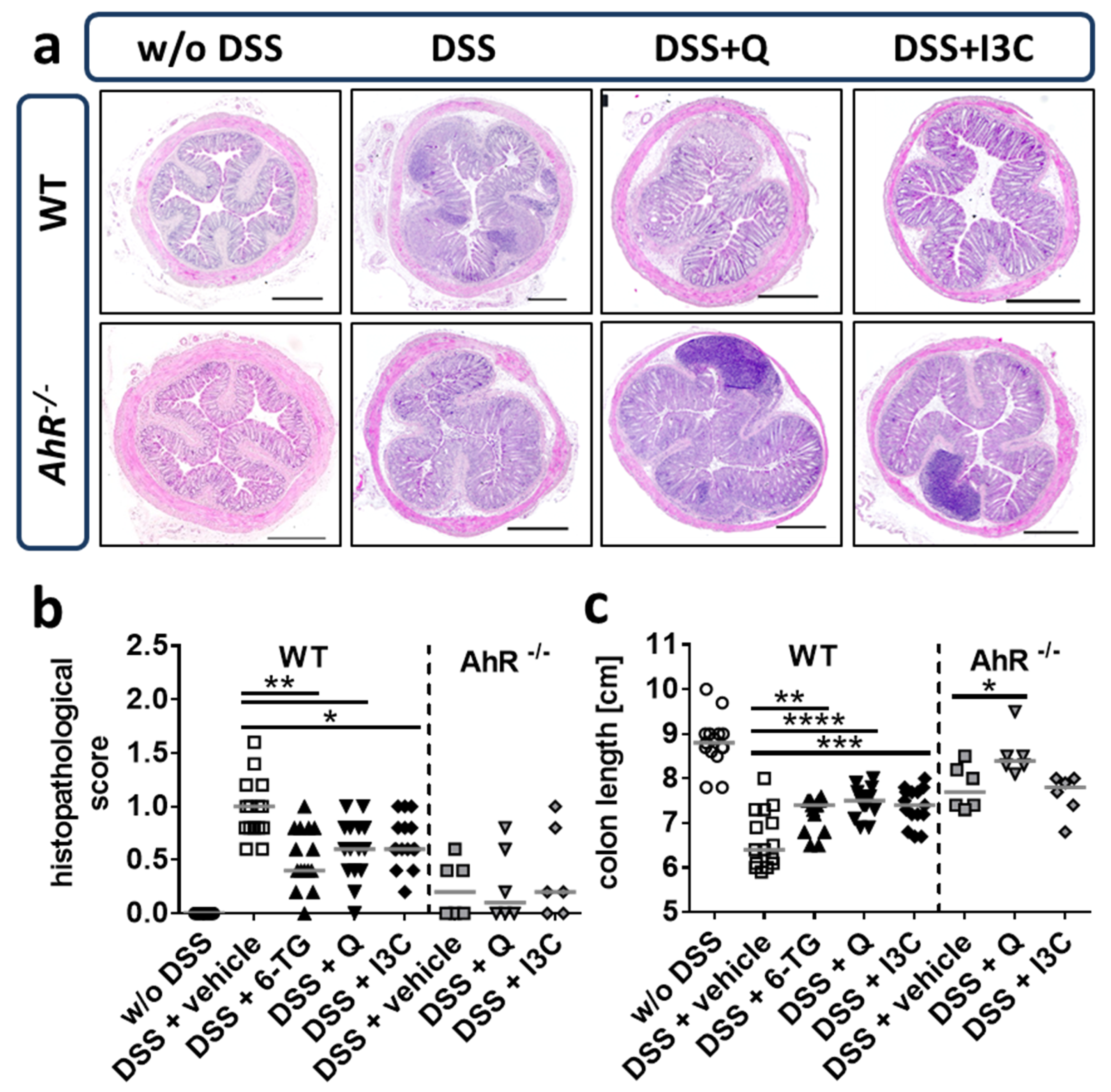 Ijerph 18 02262 g005