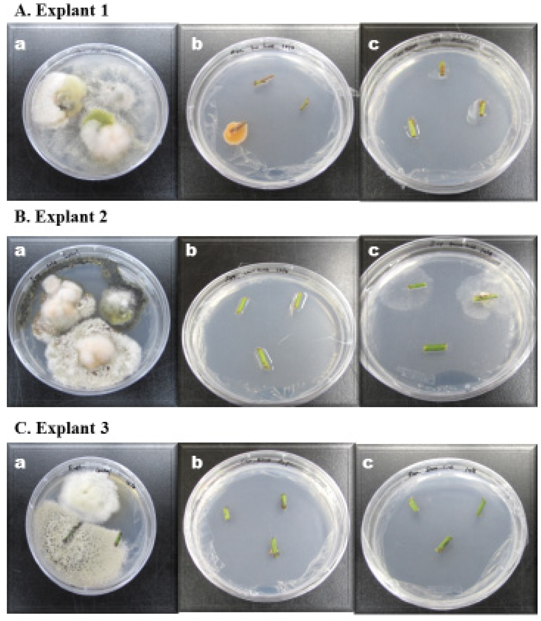 Ijerph 18 02282 g003