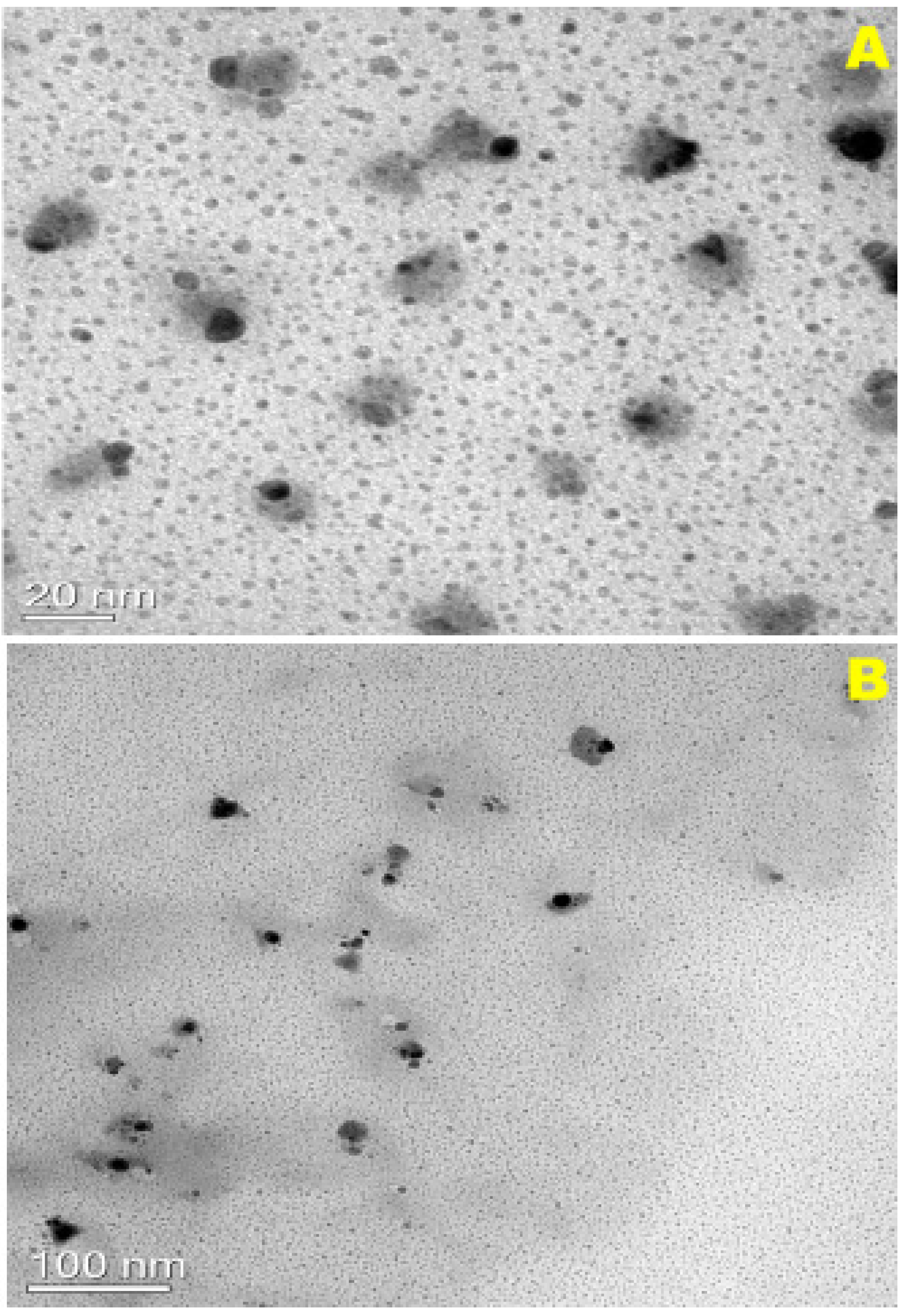 Ijerph 18 02282 g005