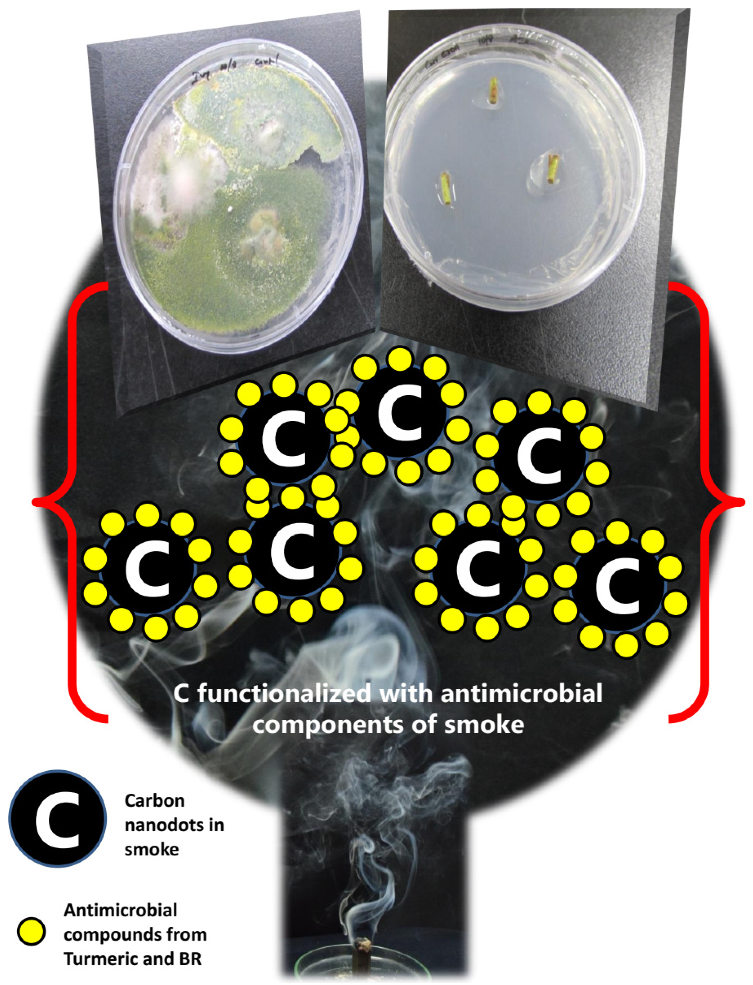 Ijerph 18 02282 g006