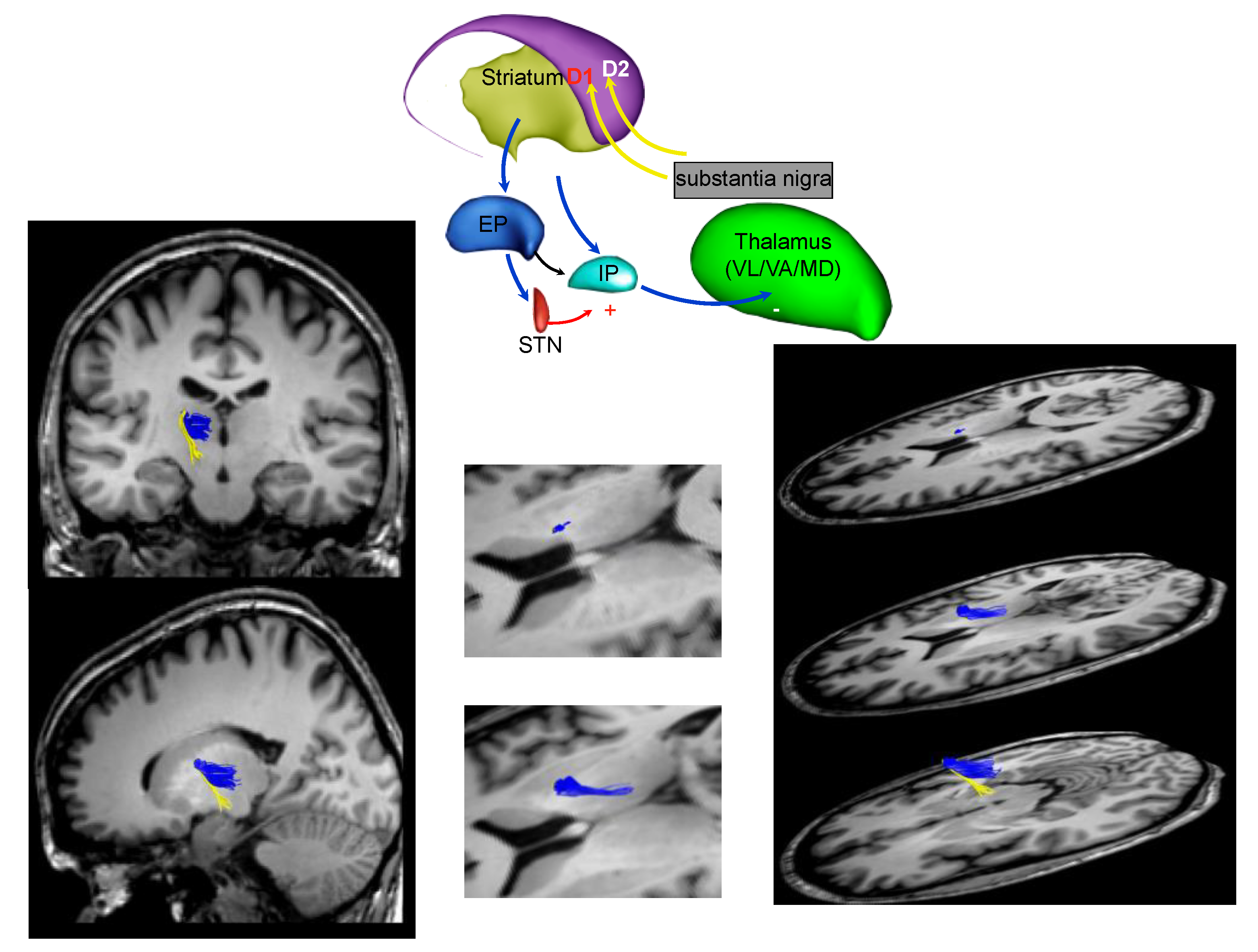 Ijerph 18 02356 g002