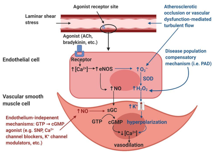 Ijerph 18 02384 g001
