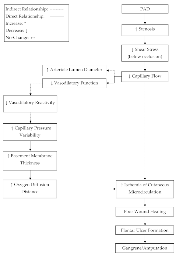 Ijerph 18 02384 g002