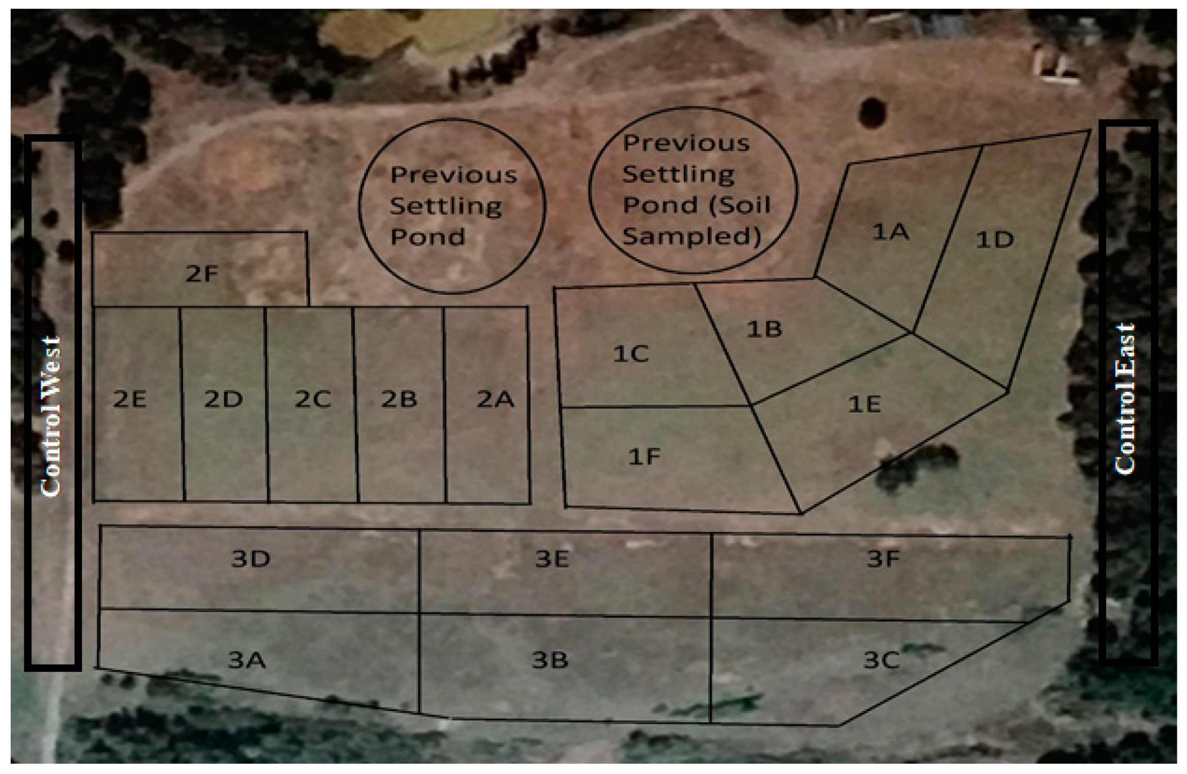 Ijerph 18 02421 g001 Ijerph 18 02421 g001