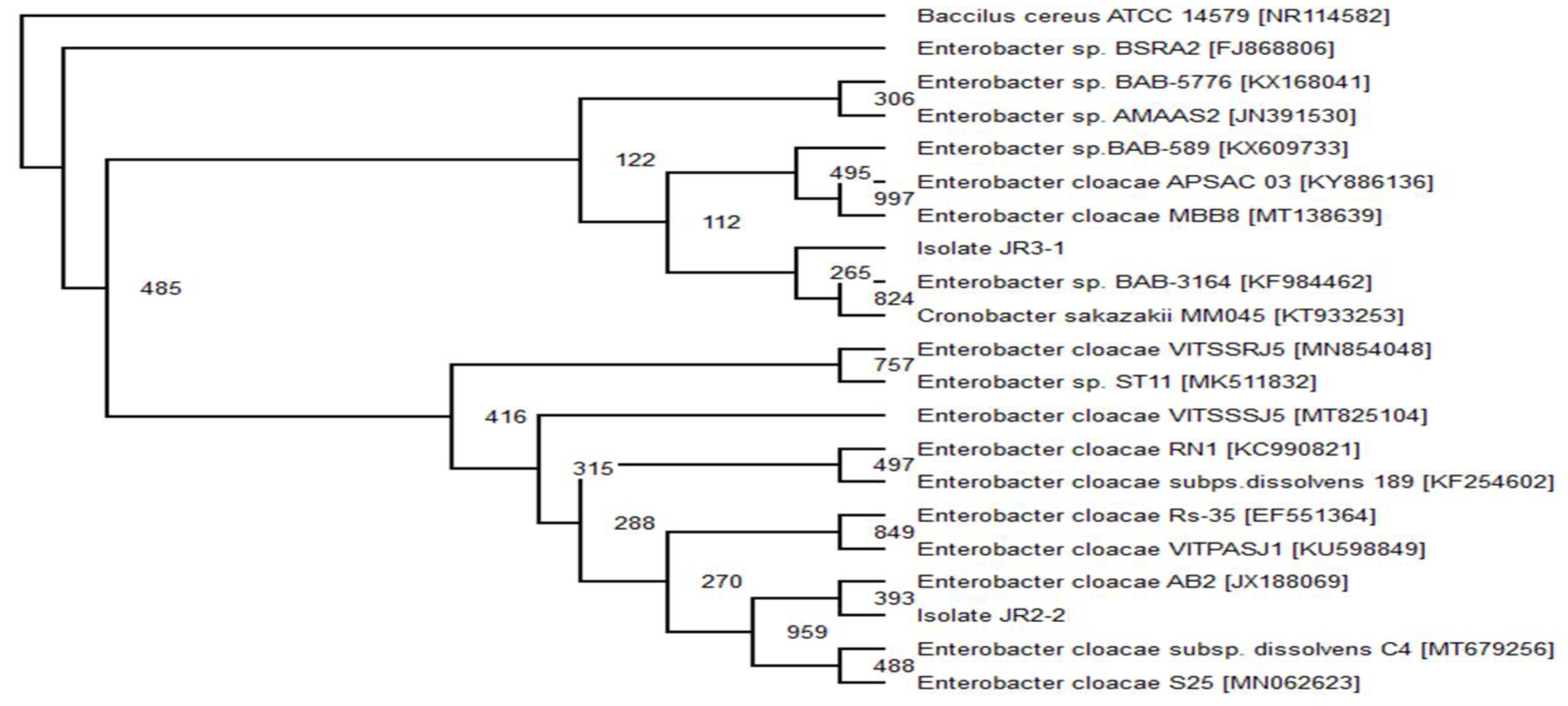 Ijerph 18 02424 g002