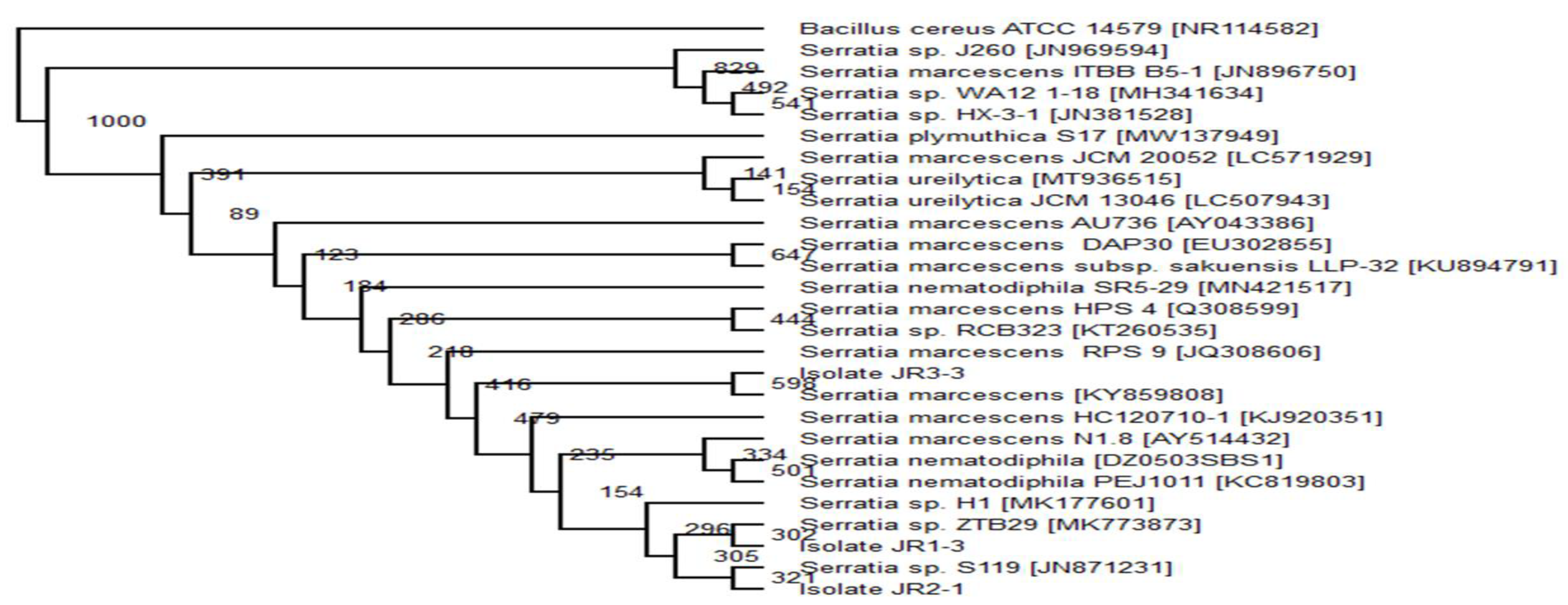 Ijerph 18 02424 g004