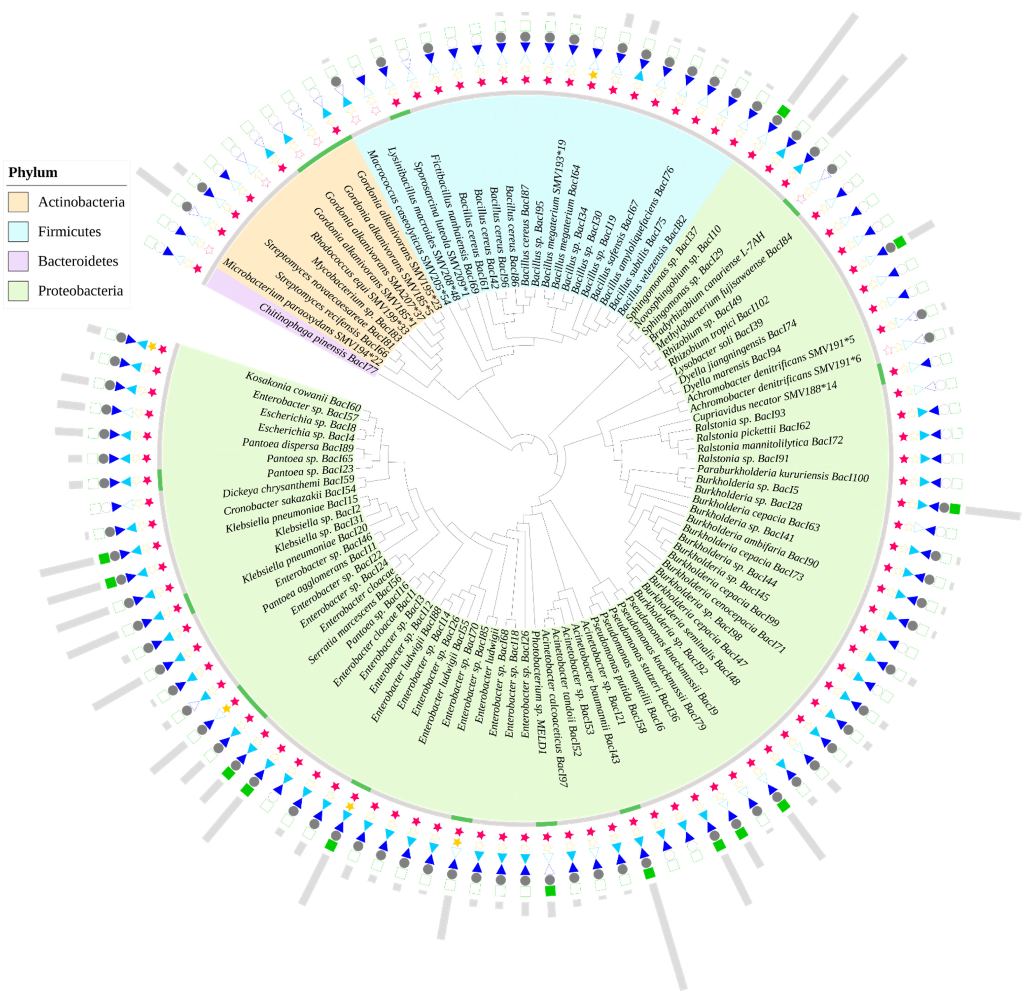 Ijerph 18 02435 g002 Ijerph 18 02435 g002