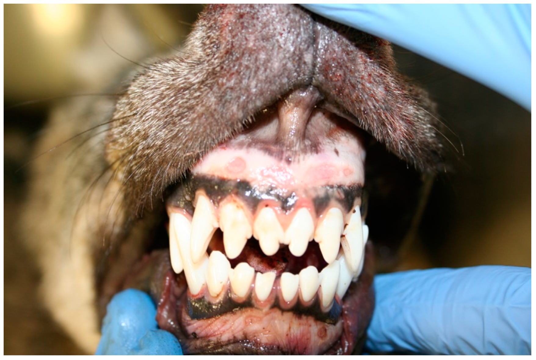 Ijerph 18 02512 g001 Ijerph 18 02512 g001