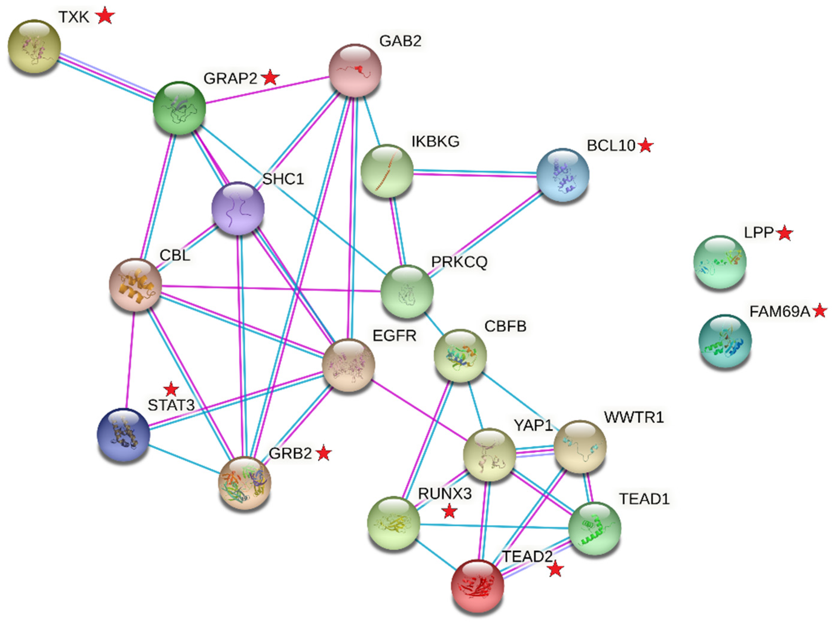 Ijerph 18 02518 g002