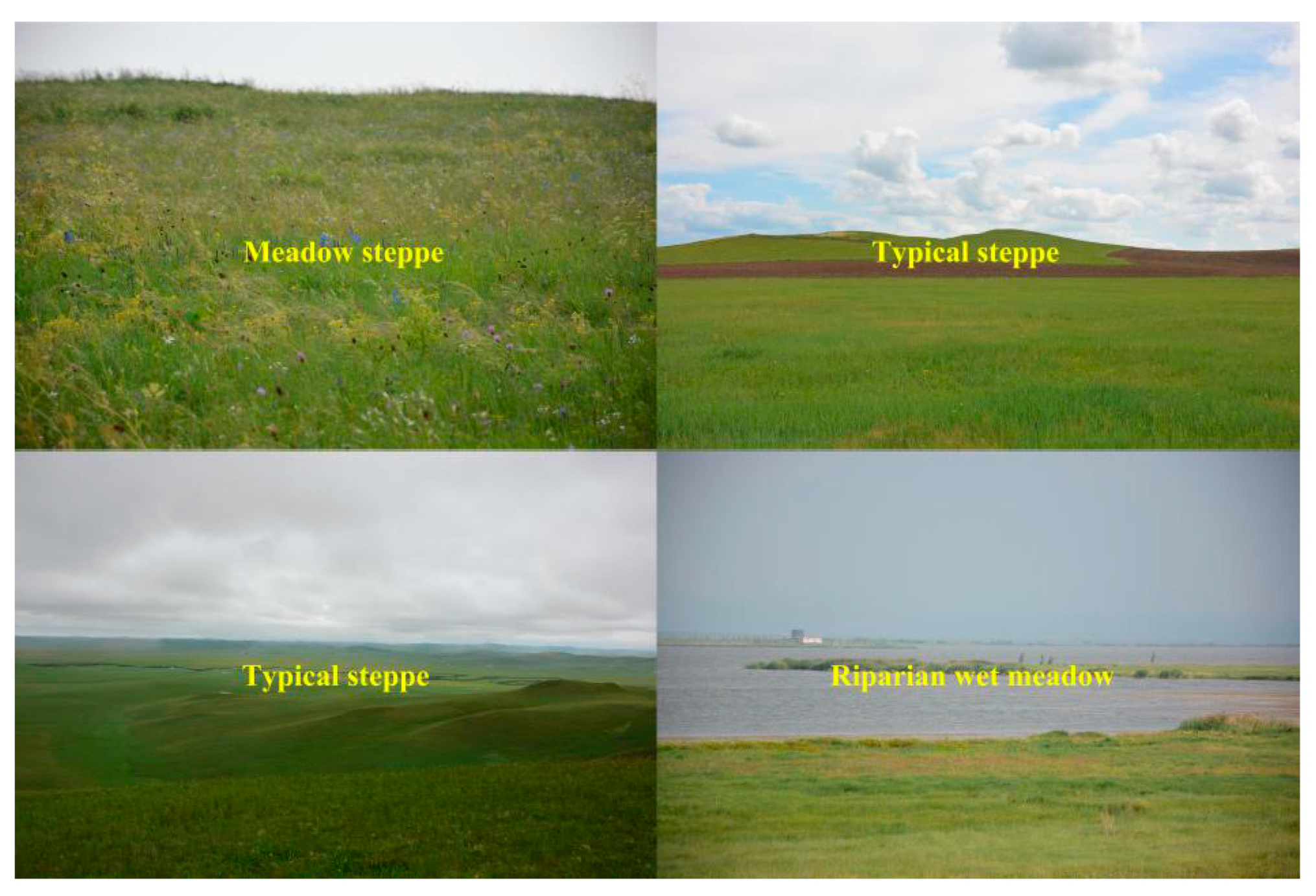 Ijerph 18 02528 g0a1 Ijerph 18 02528 g0a1