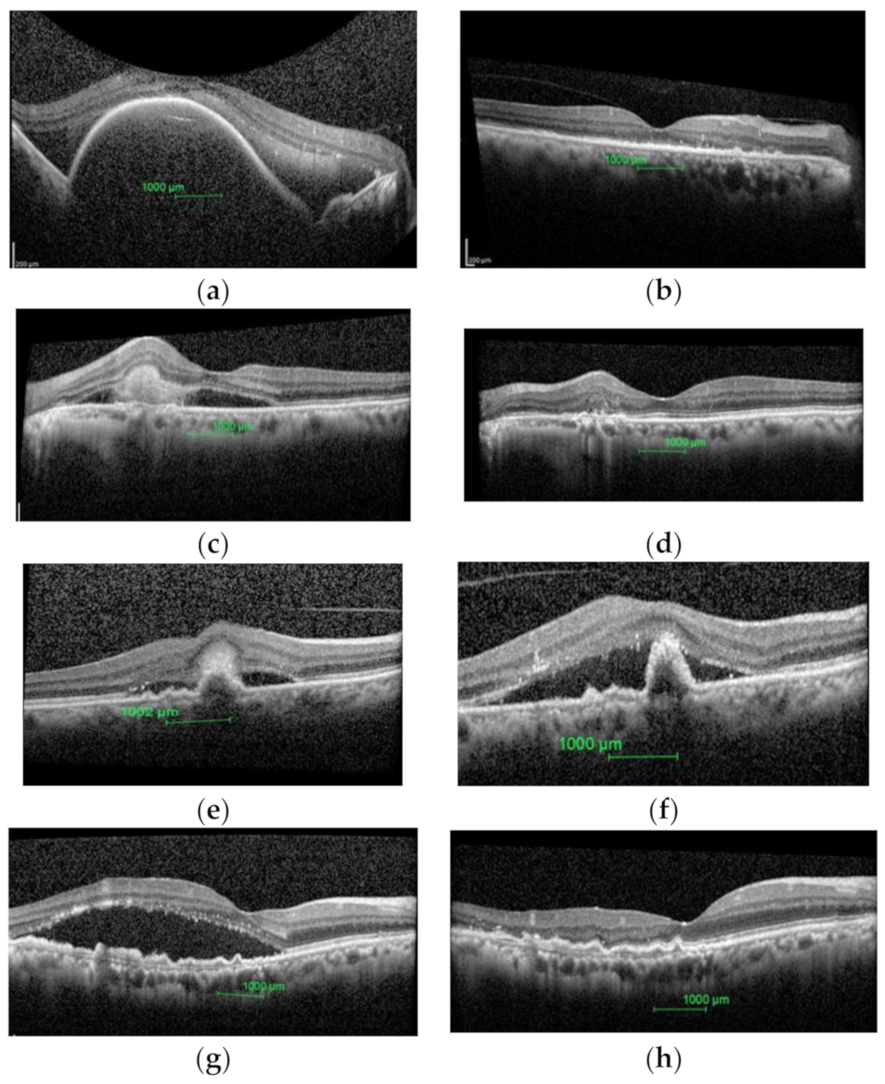 Ijerph 18 02581 g002