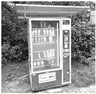 Ijerph 18 02653 i008 Ijerph 18 02653 i008