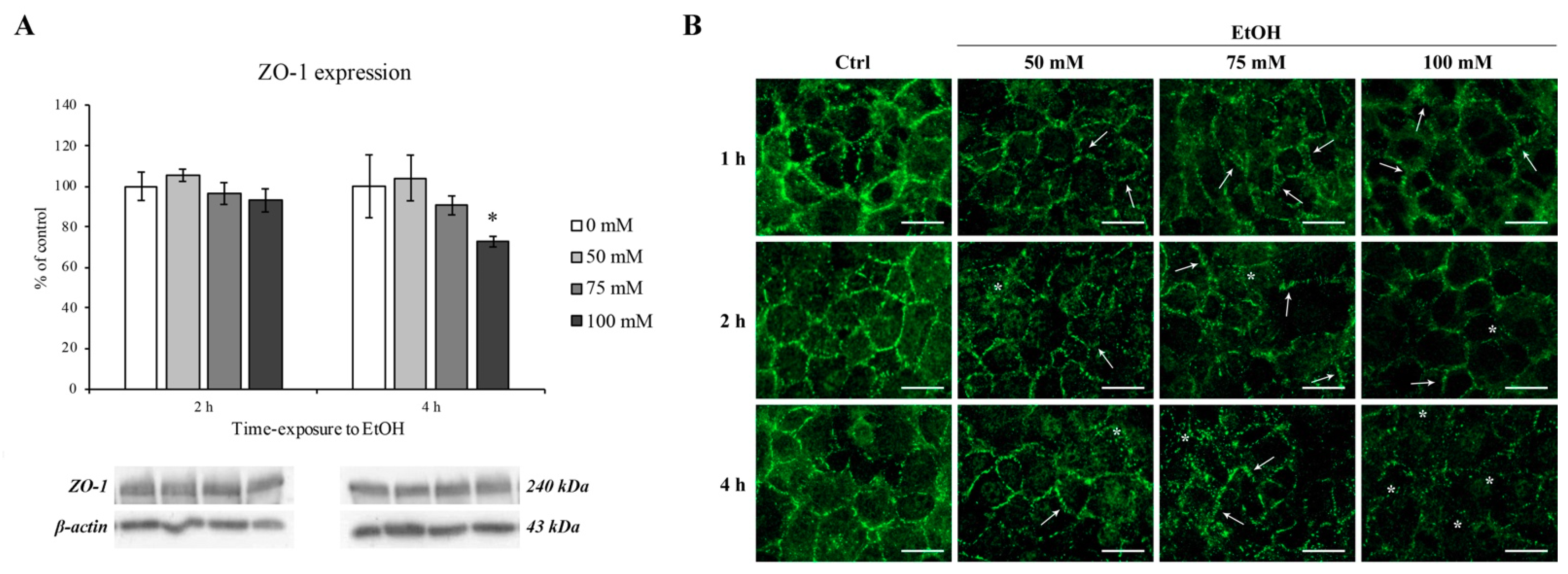 Ijerph 18 02683 g008
