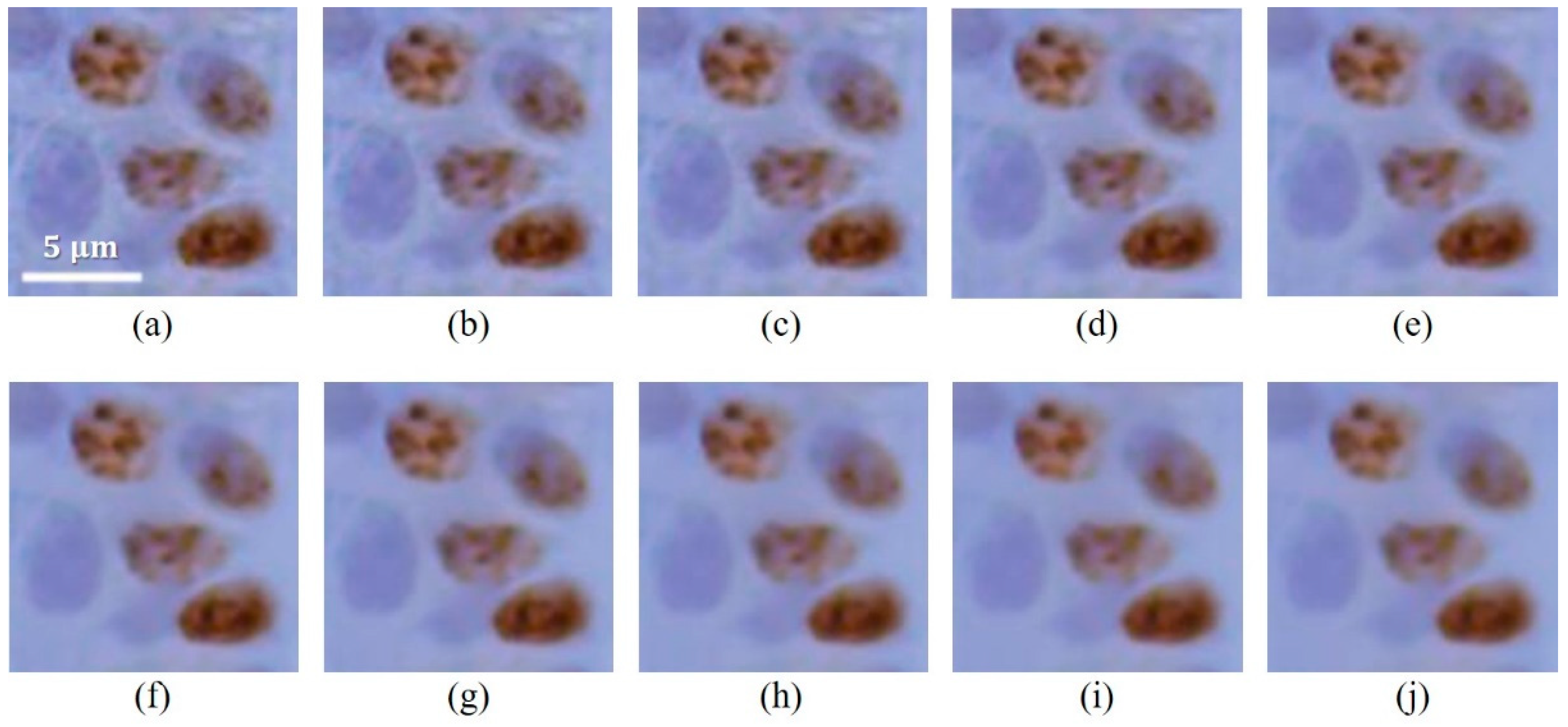 Ijerph 18 02903 g002 Ijerph 18 02903 g002