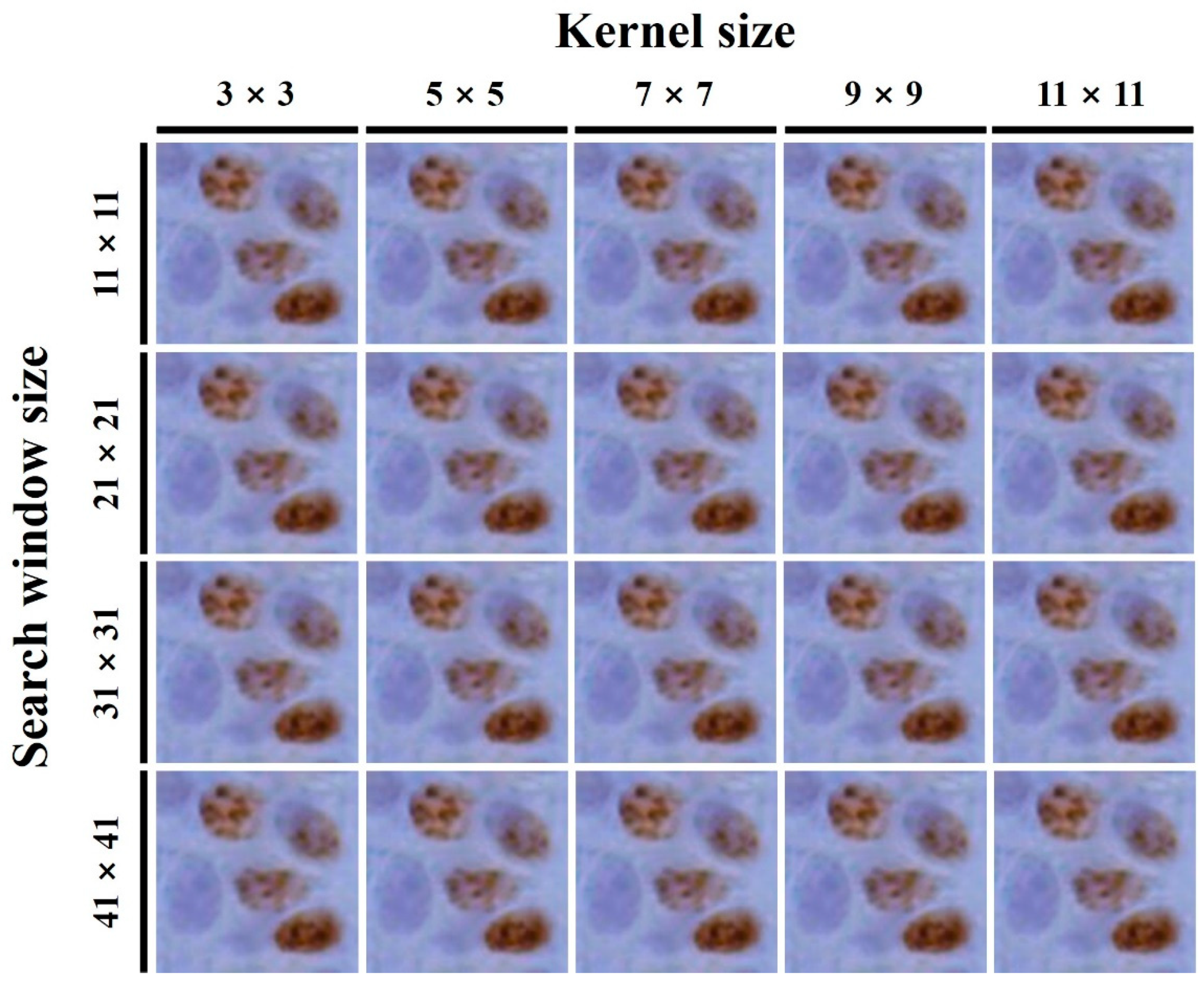 Ijerph 18 02903 g004 Ijerph 18 02903 g004