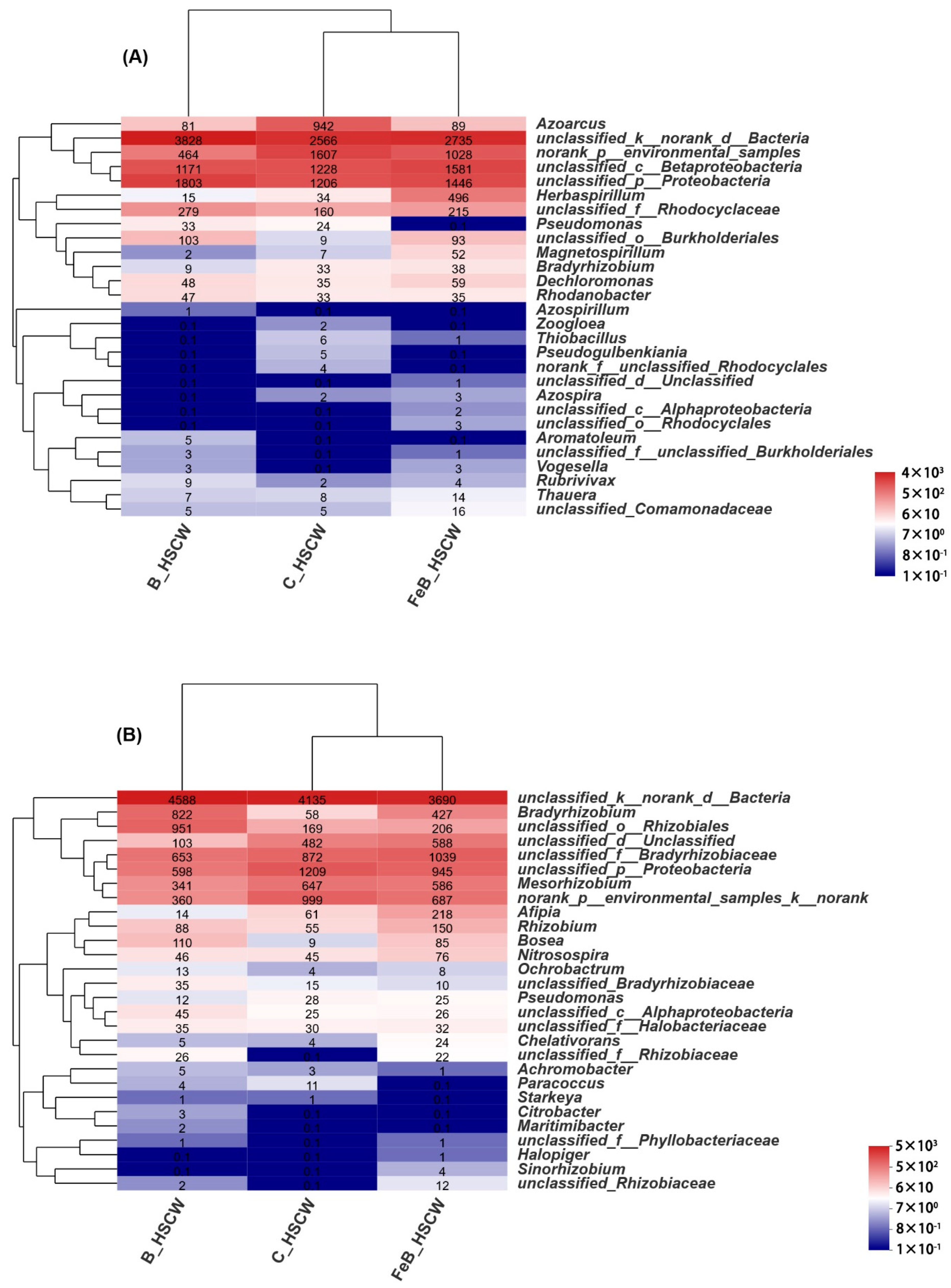 Community Composition and Spatial Distribution of N-Removing