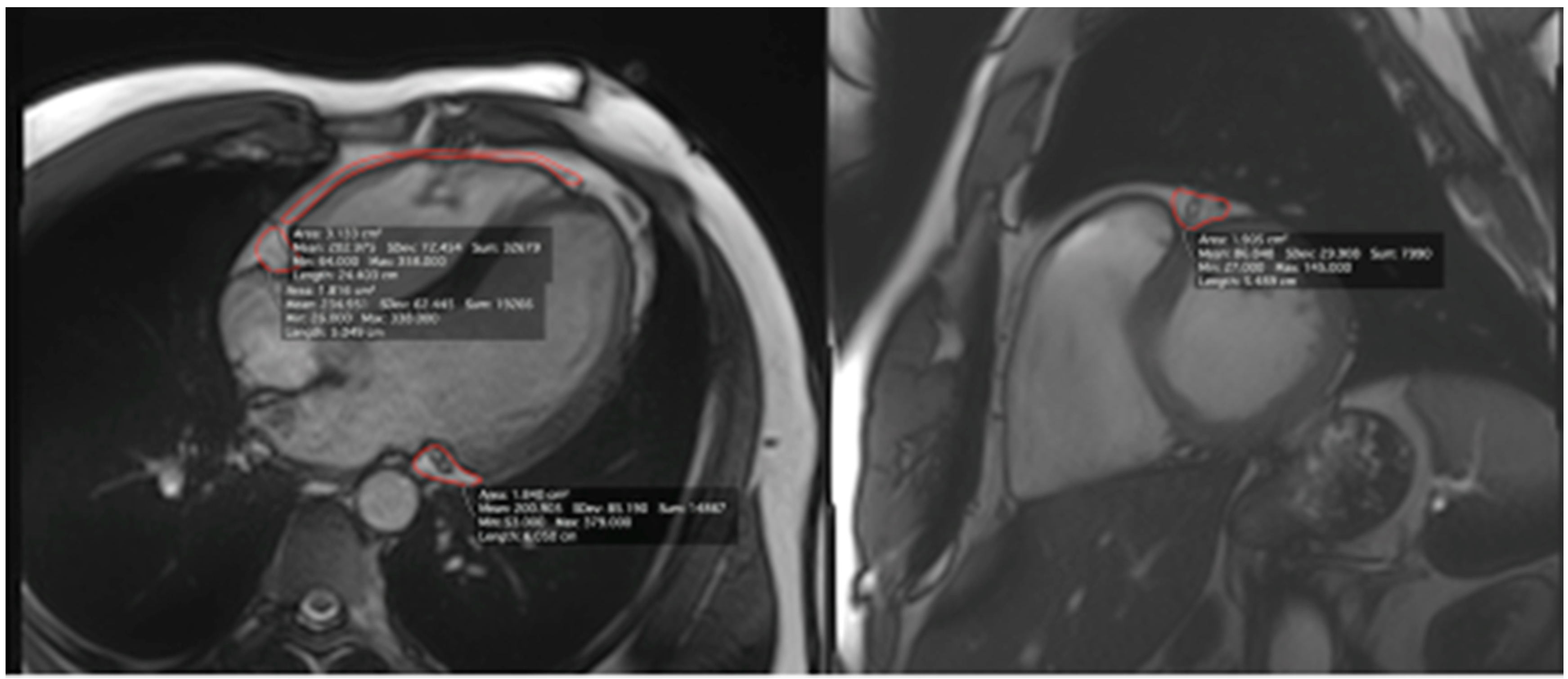 Ijerph 18 03136 g001 Ijerph 18 03136 g001