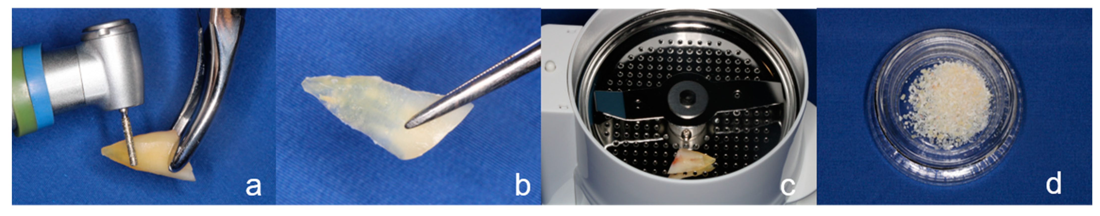 Ijerph 18 03174 g002