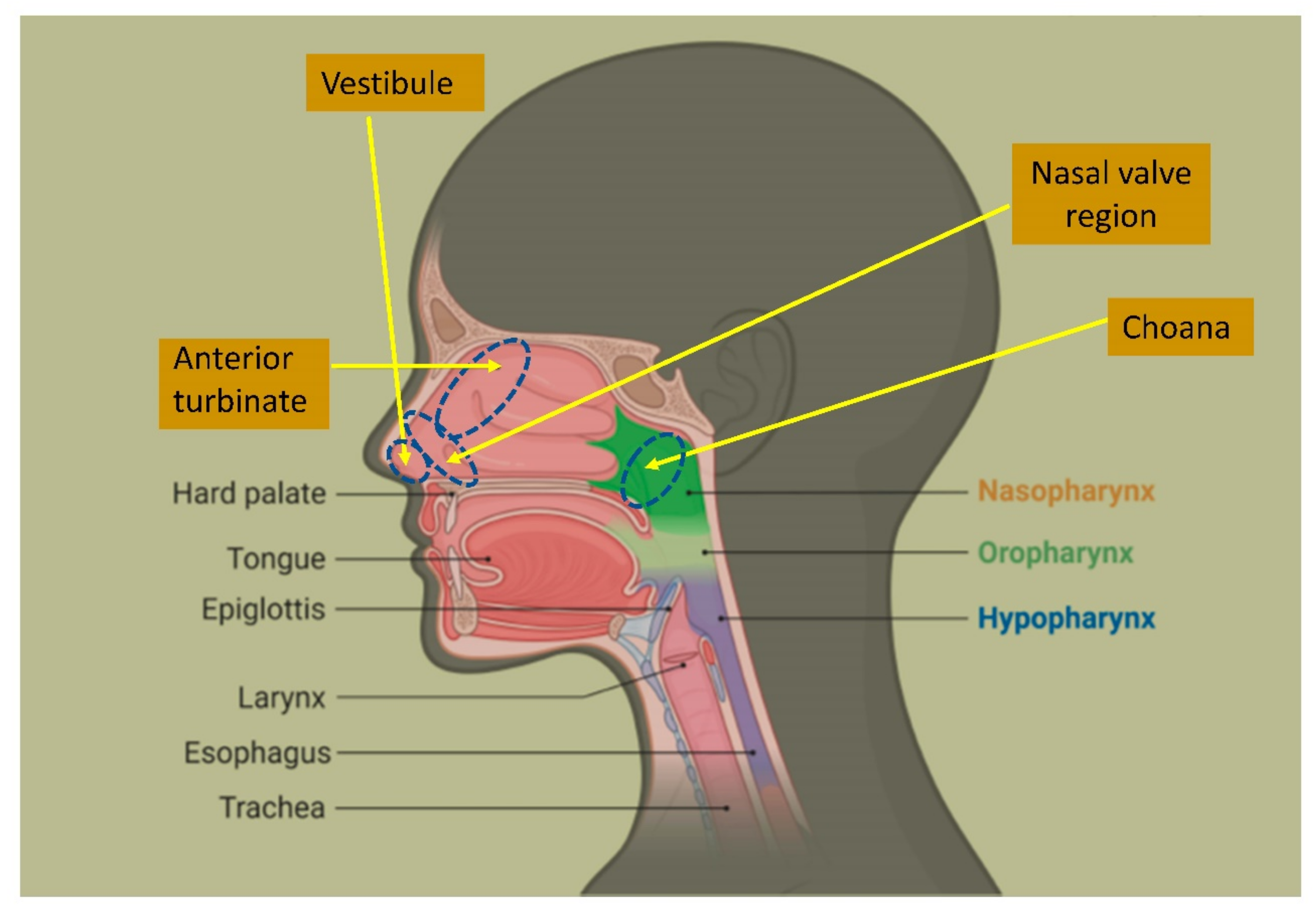 Ijerph 18 03214 g002 Ijerph 18 03214 g002